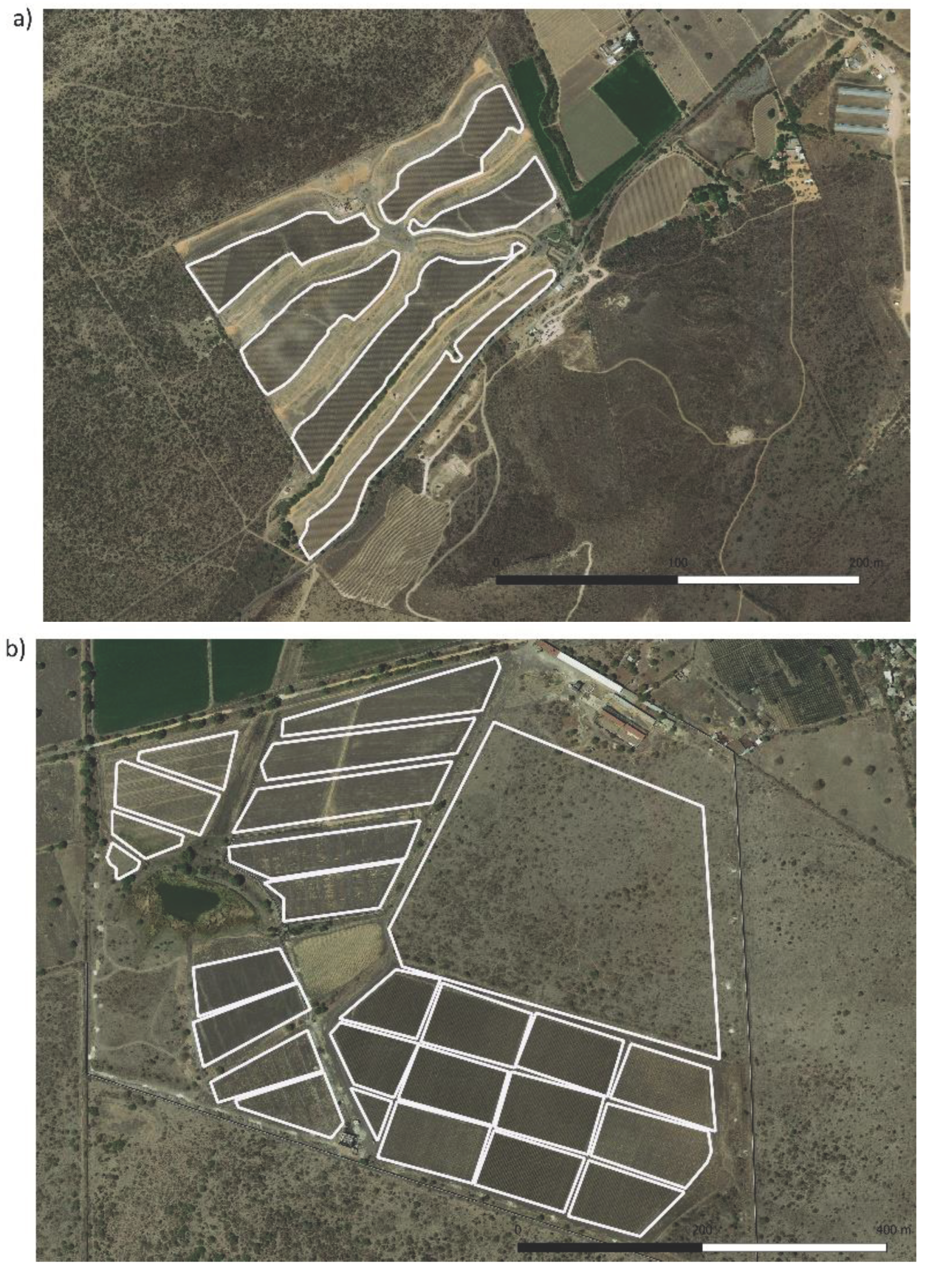 Preprints 99996 g002