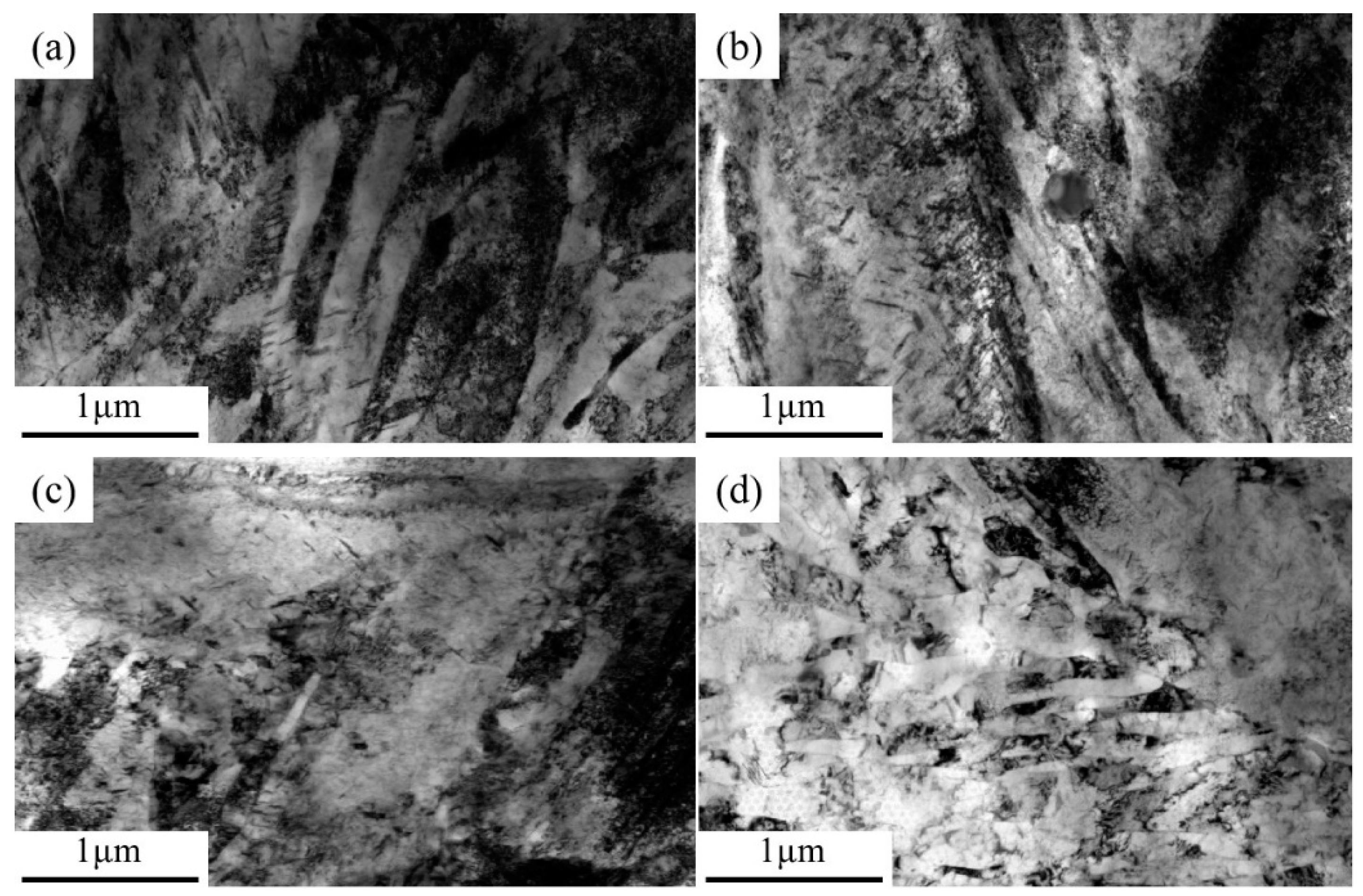 Preprints 142557 g006