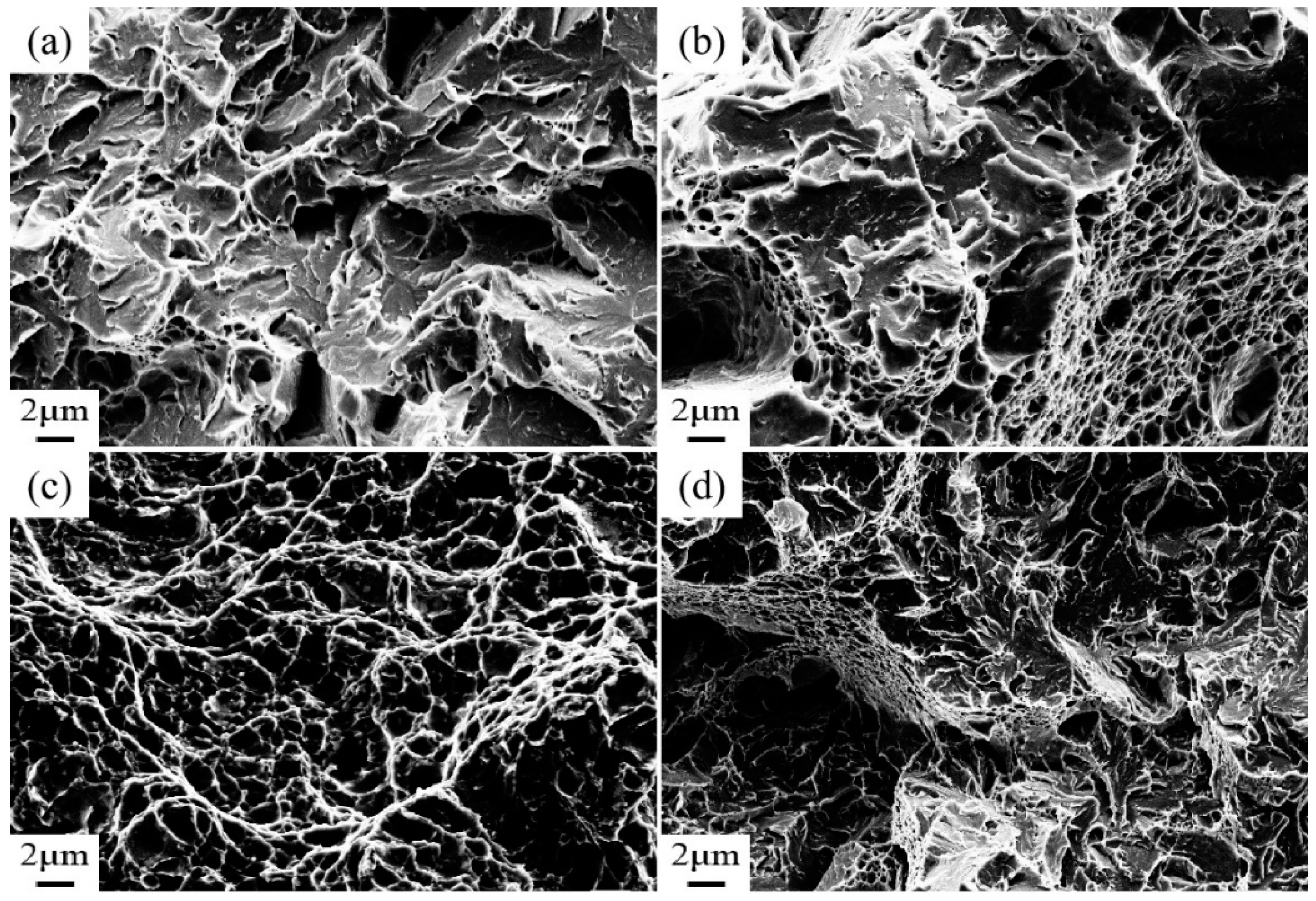 Preprints 142557 g007