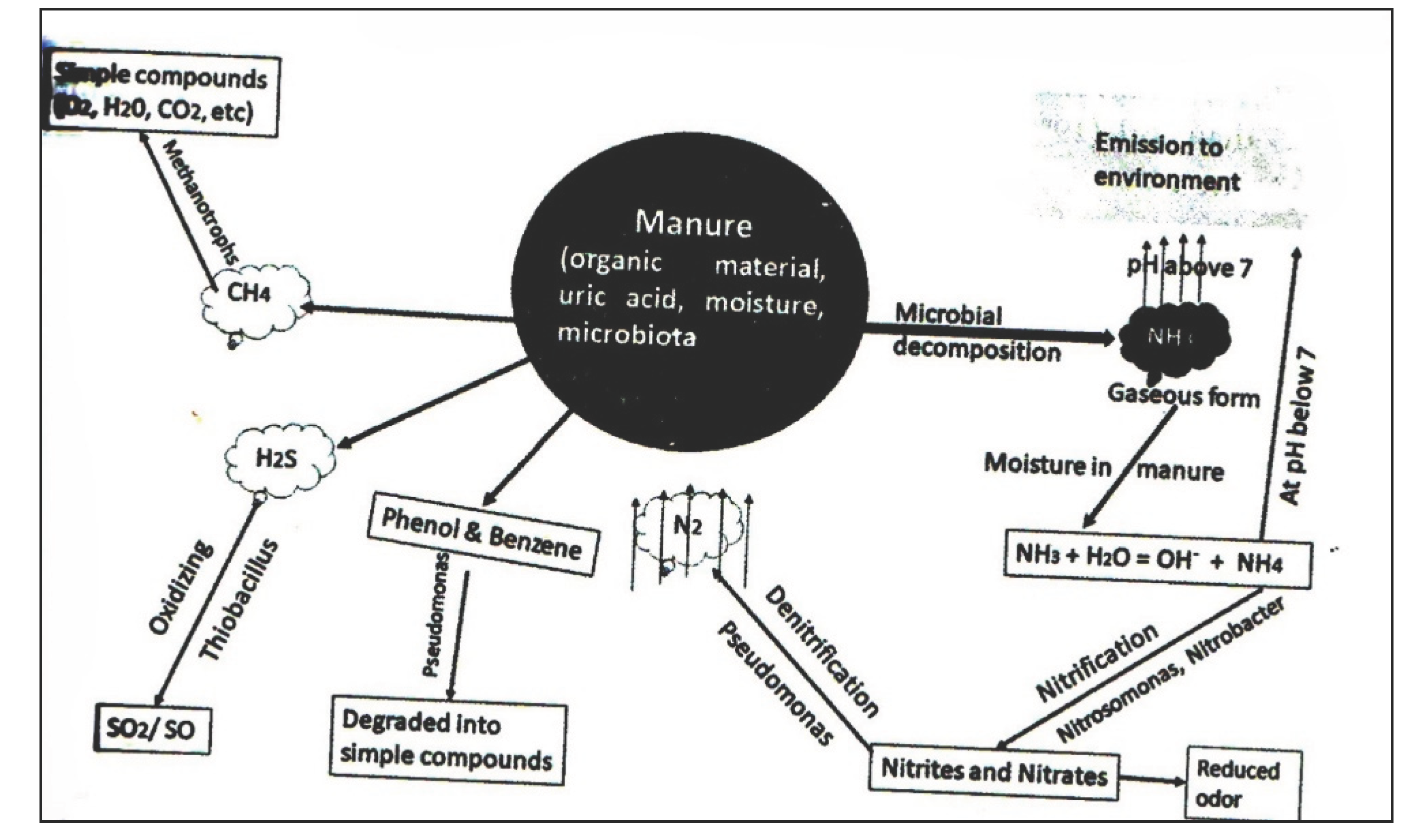 Preprints 183308 g001