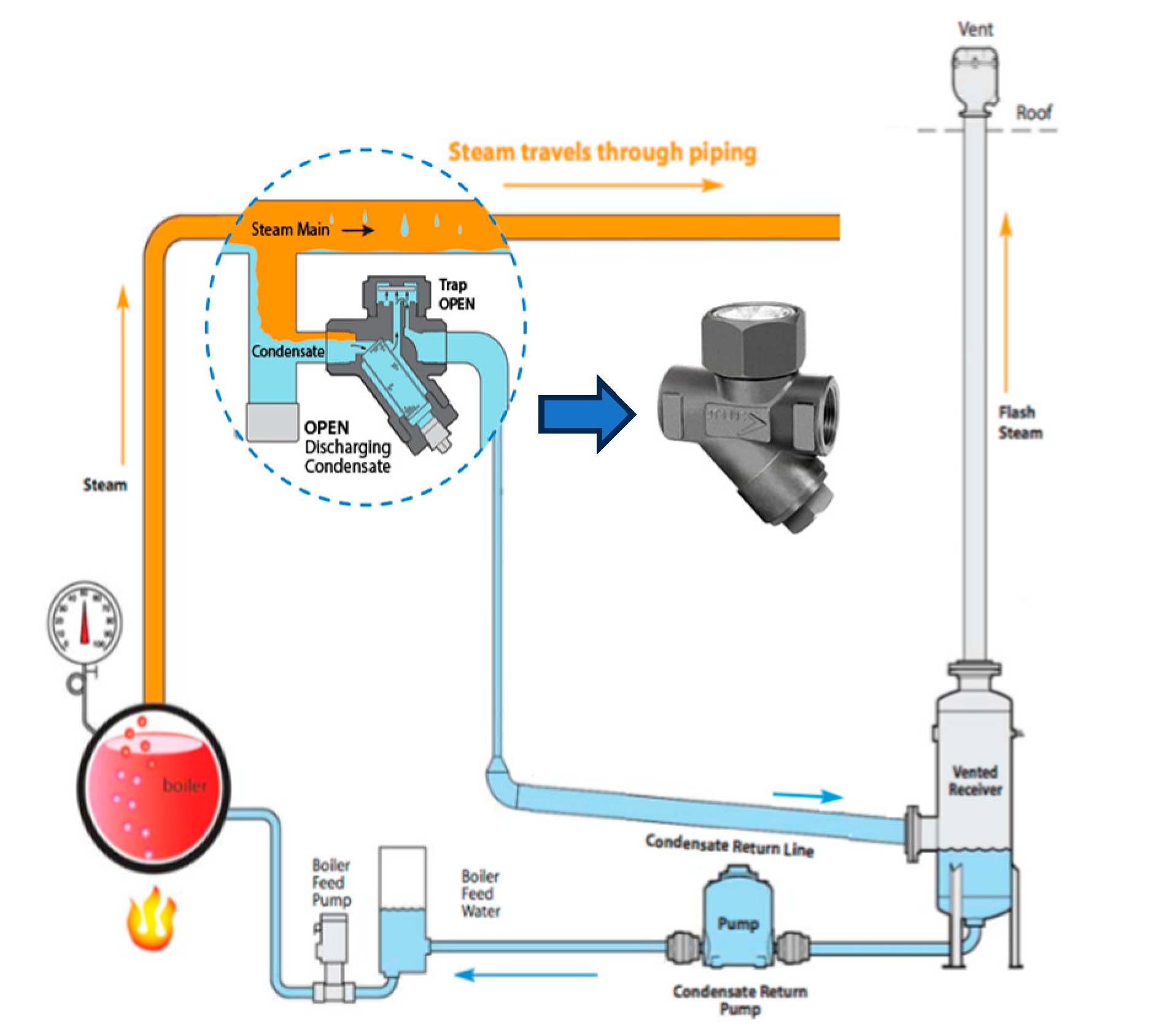 Preprints 139167 g002