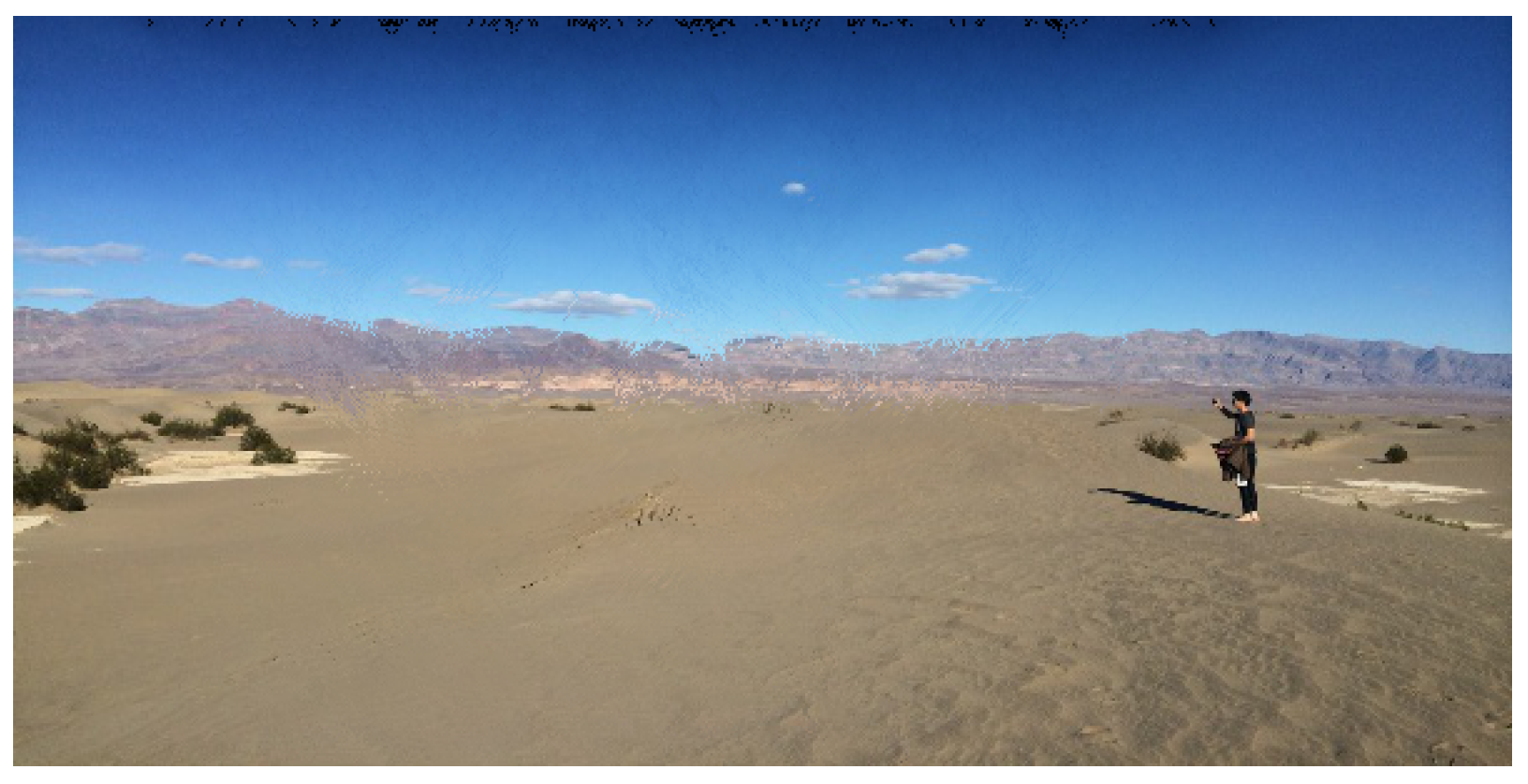 Preprints 145264 g008