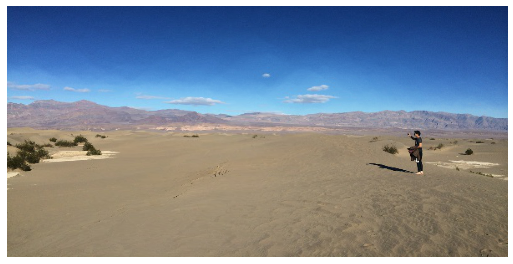 Preprints 145264 g011