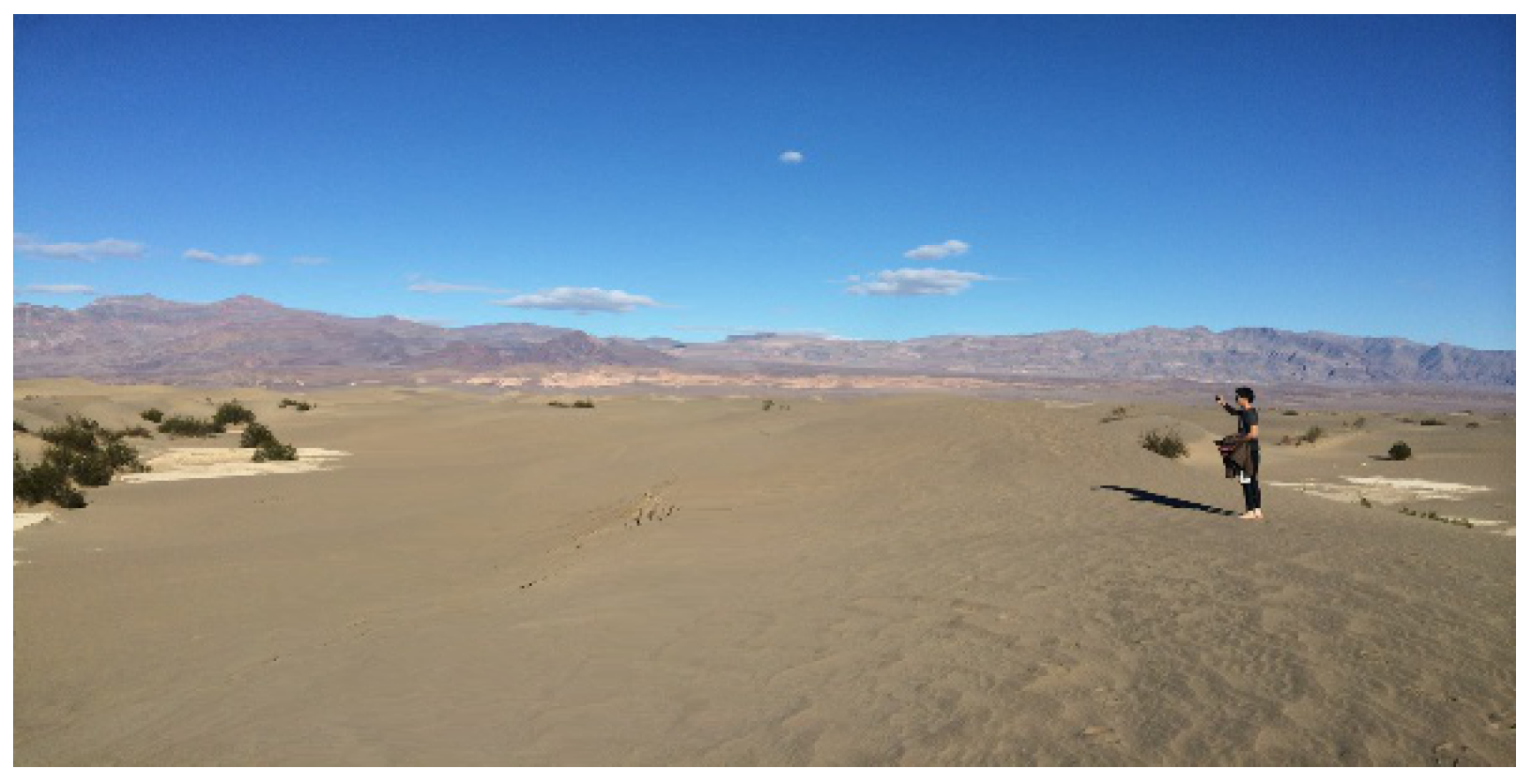 Preprints 145264 g013