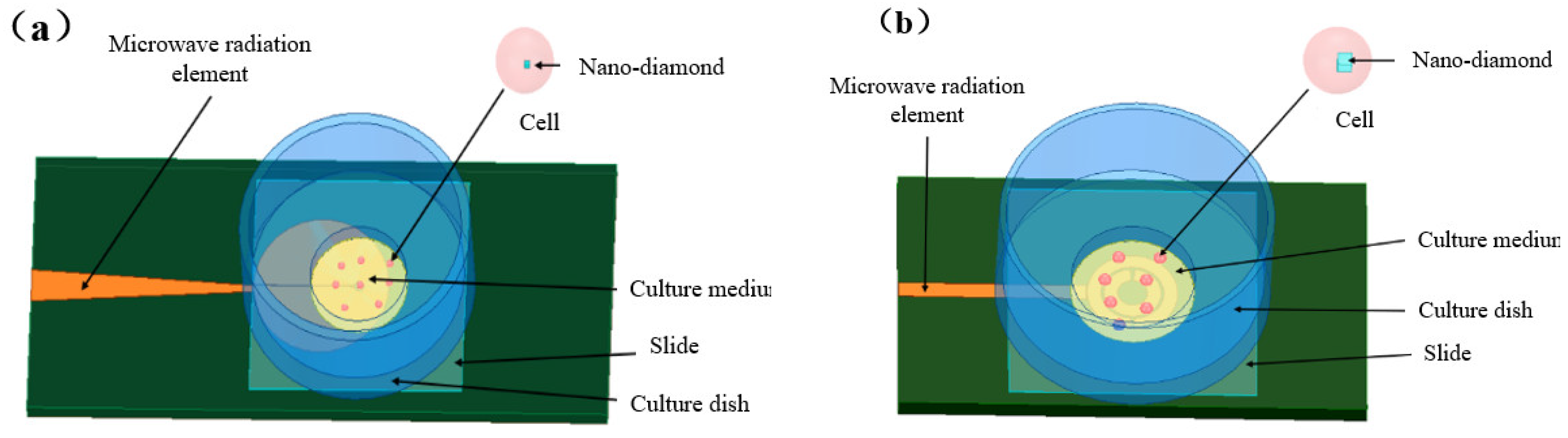 Preprints 93322 g007