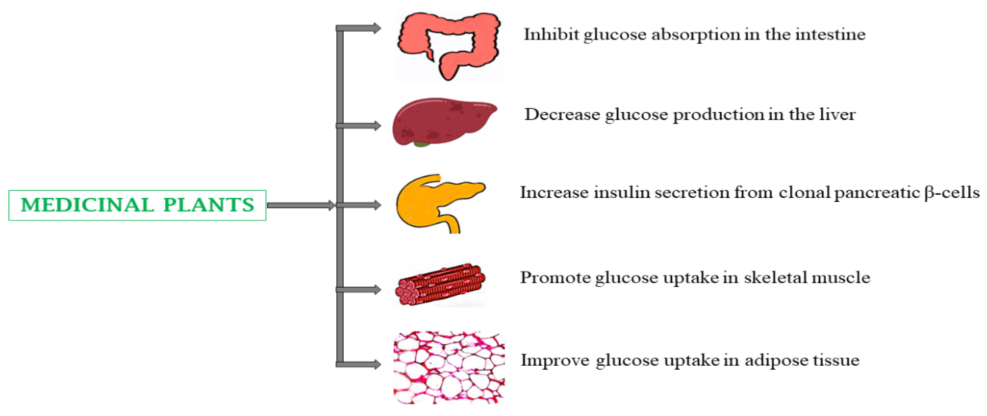 Preprints 144367 g002