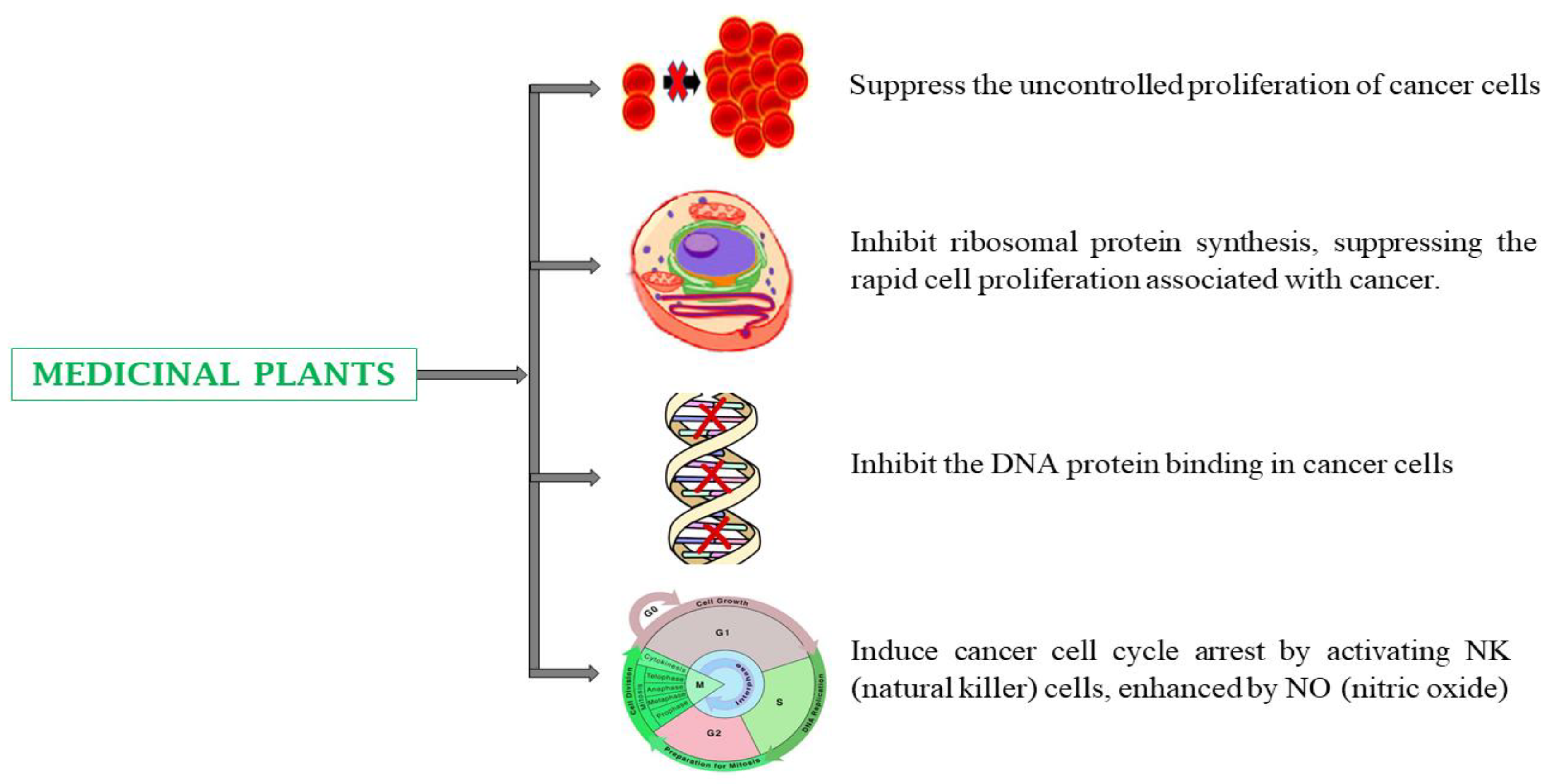 Preprints 144367 g003