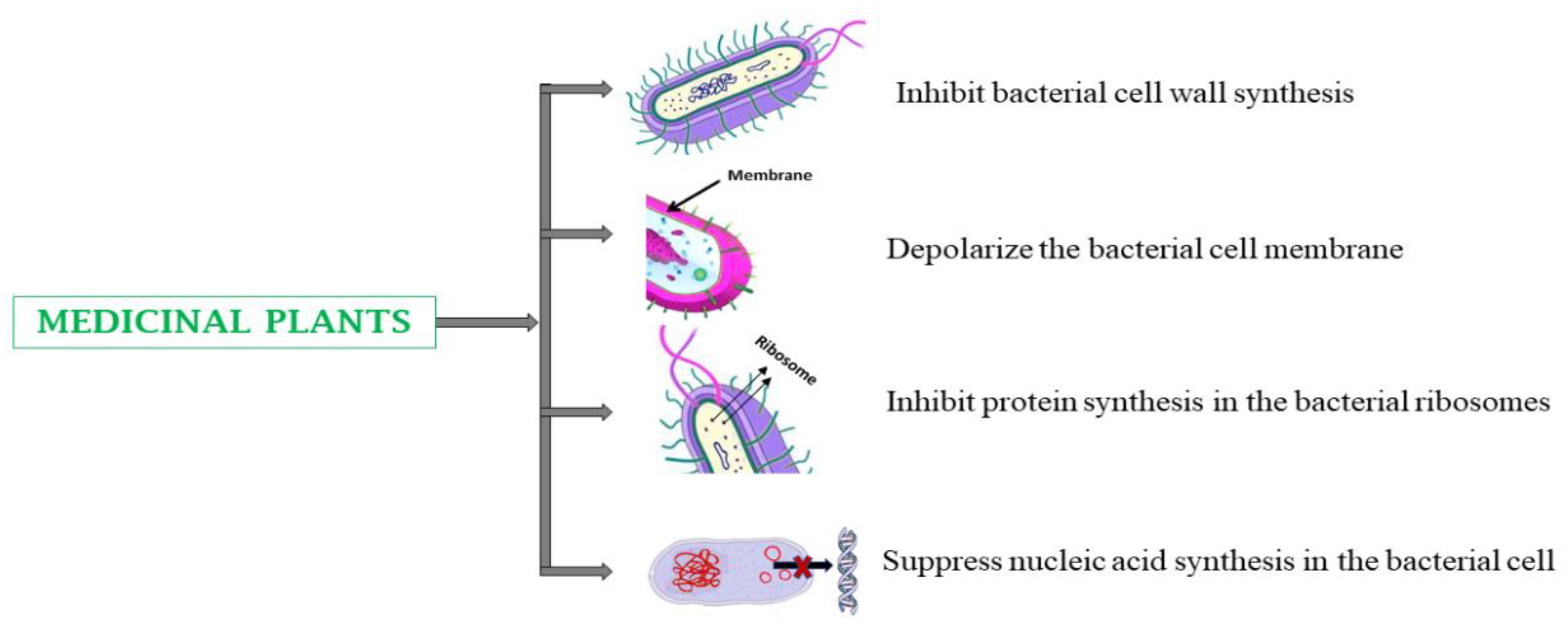 Preprints 144367 g004