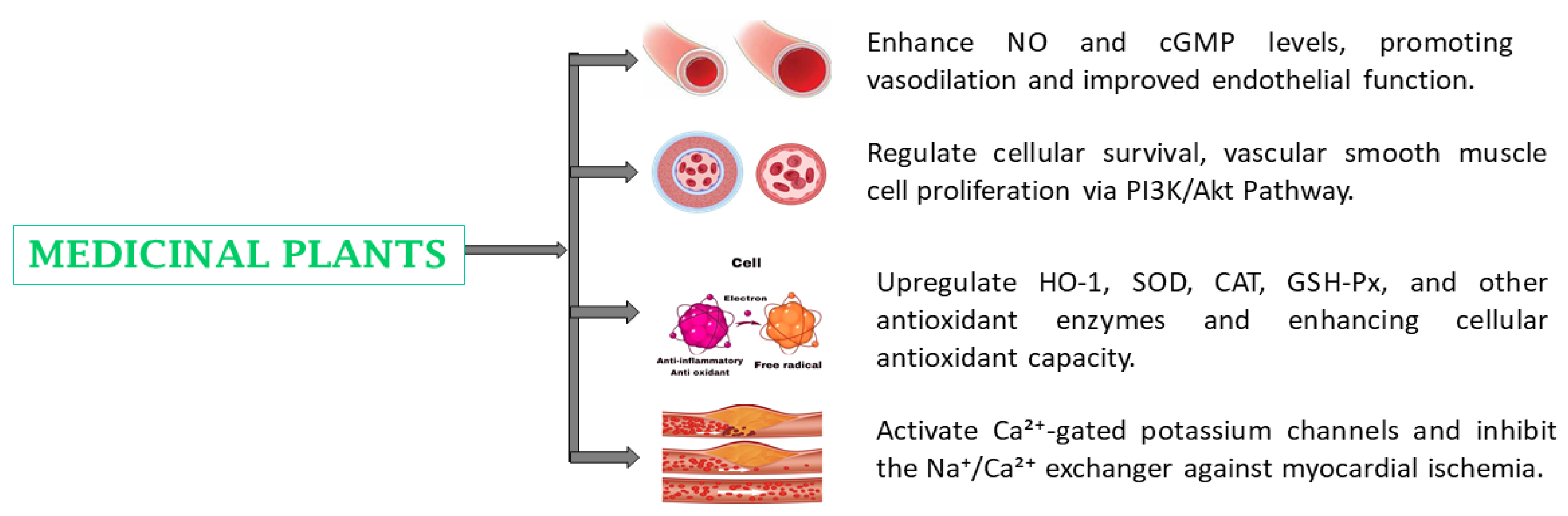 Preprints 144367 g006
