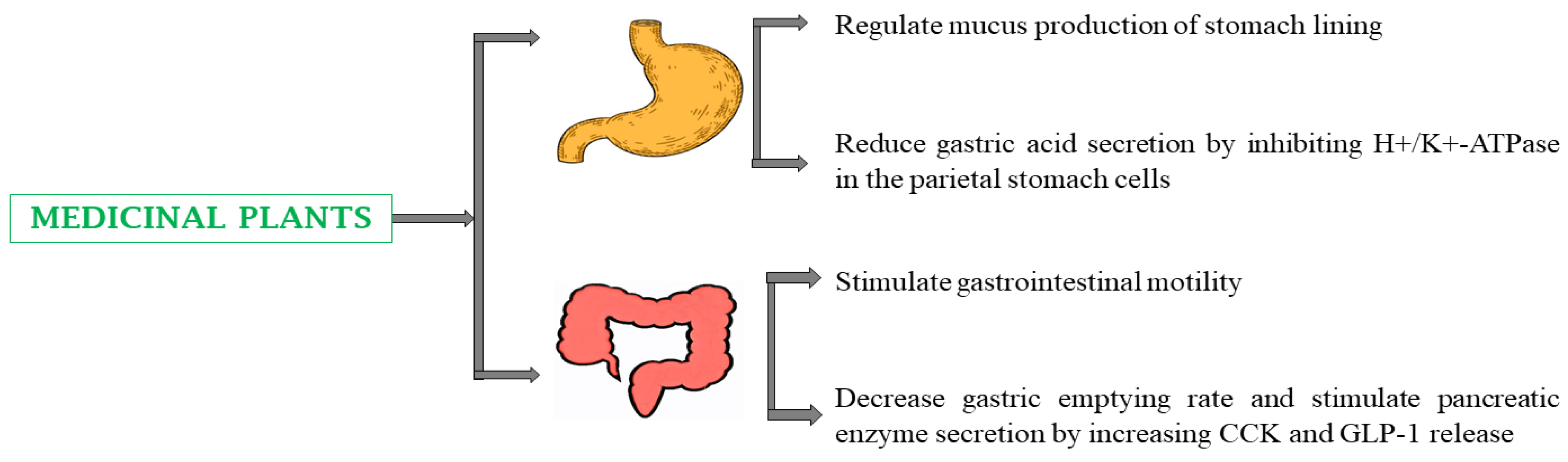 Preprints 144367 g007