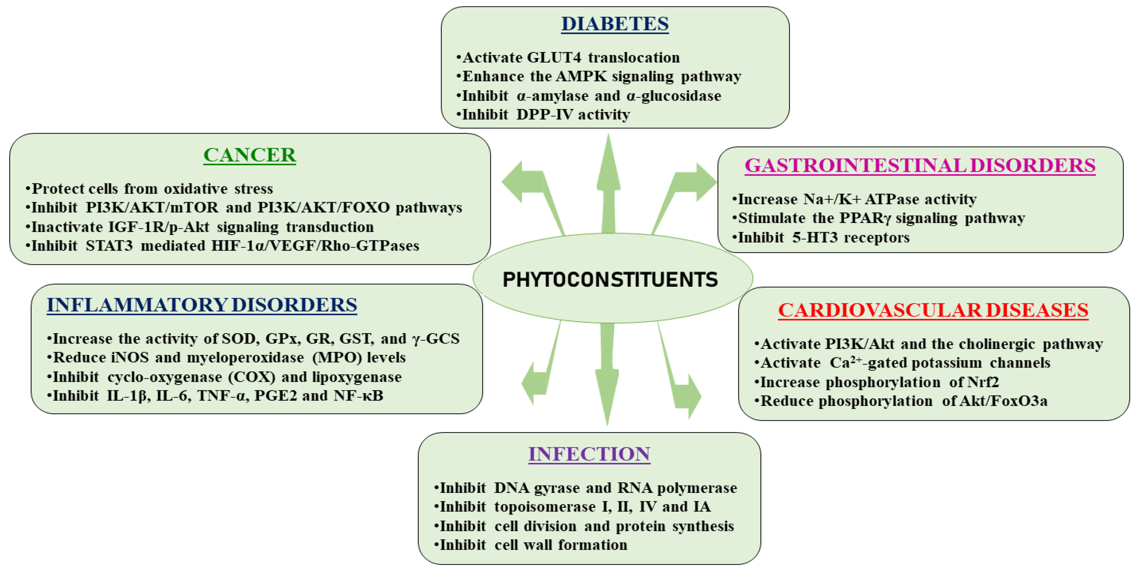 Preprints 144367 g008
