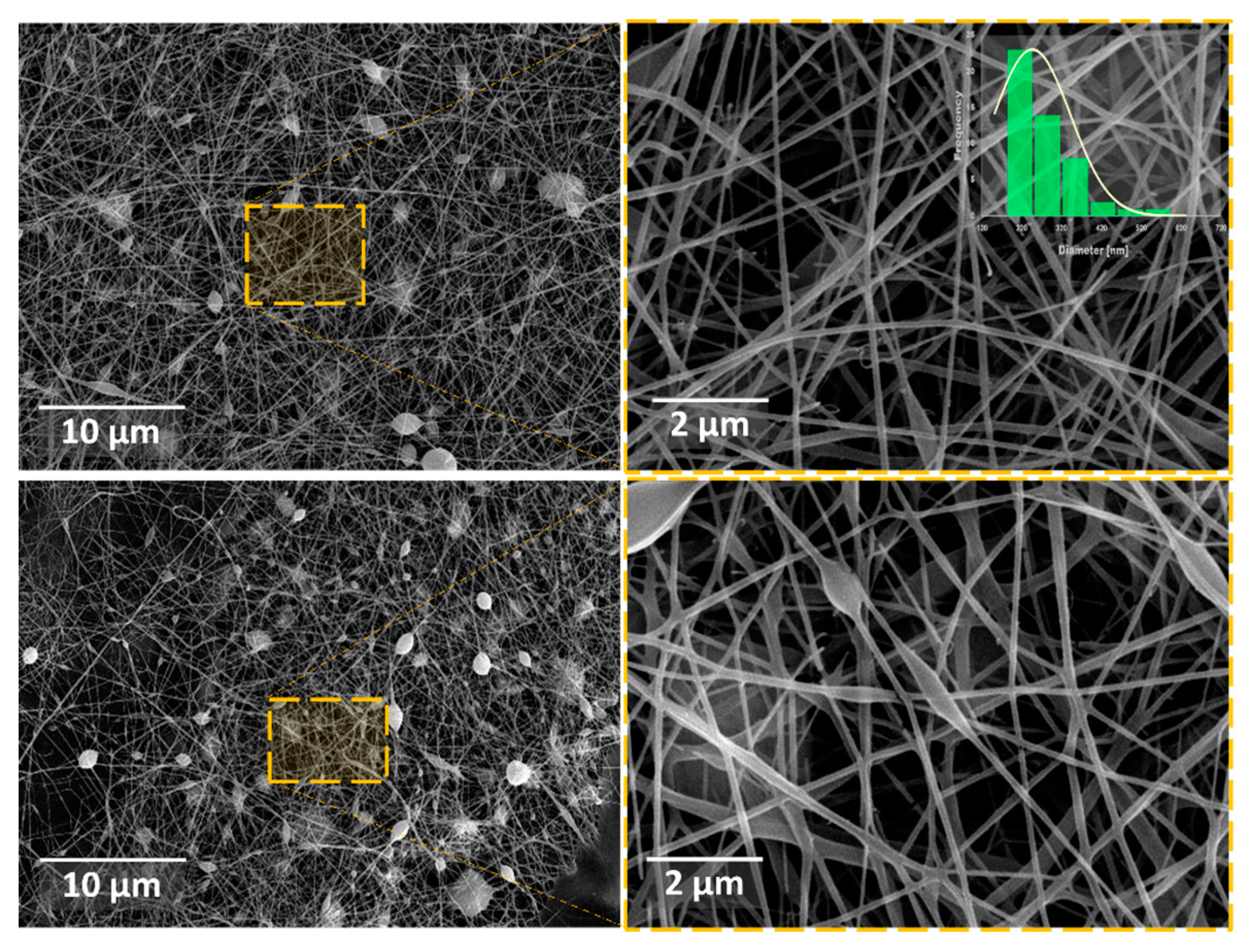 Preprints 141254 g006
