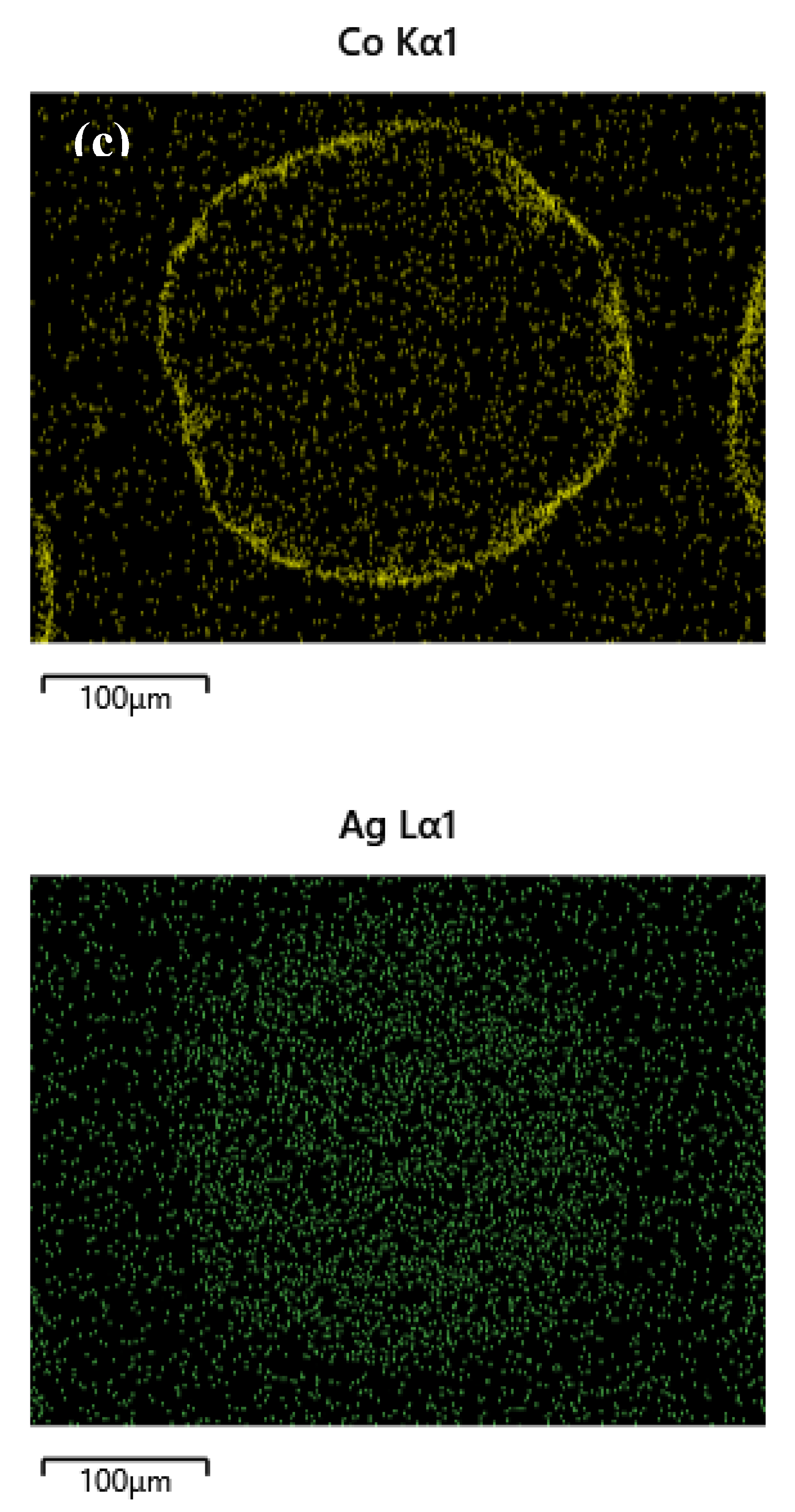 Preprints 181125 g002b