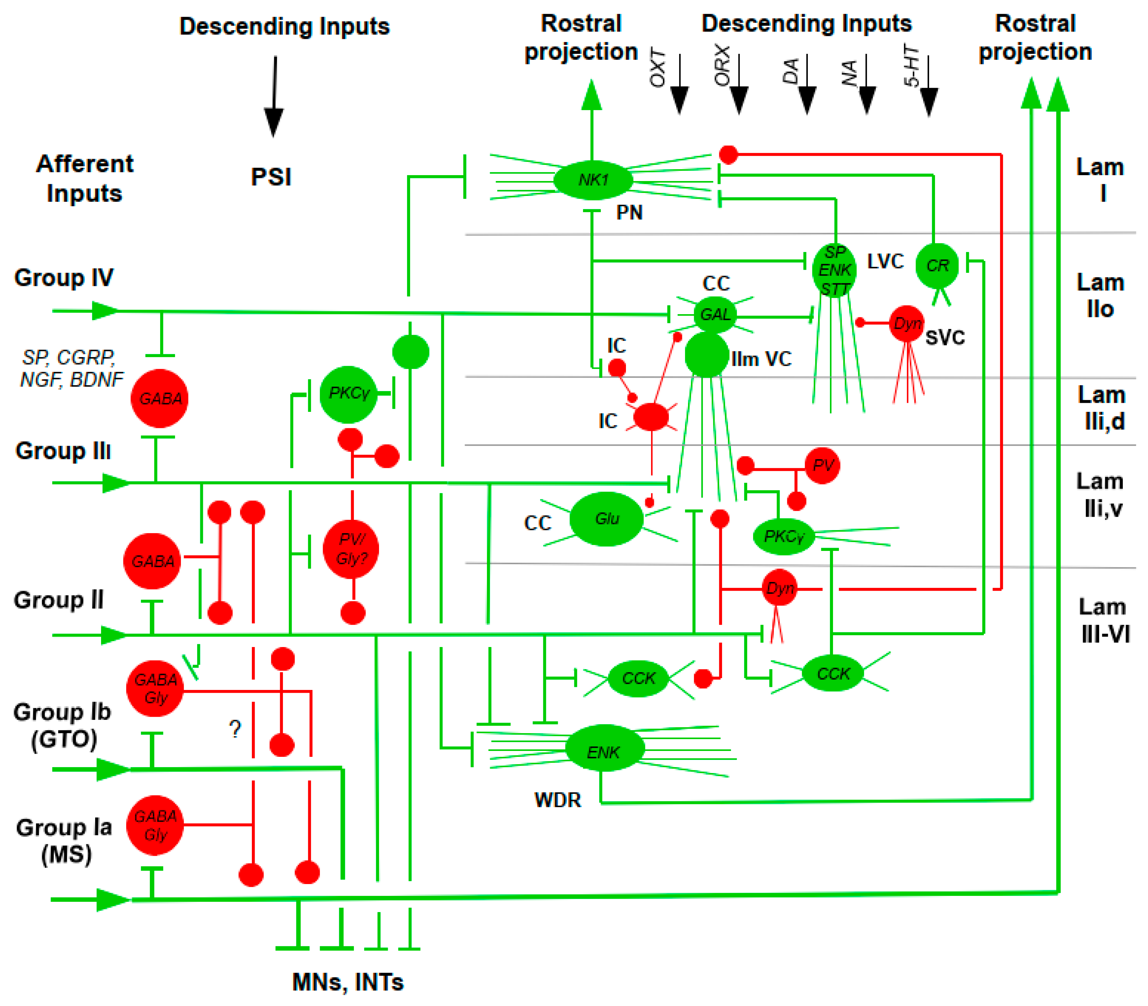 Preprints 171146 g002