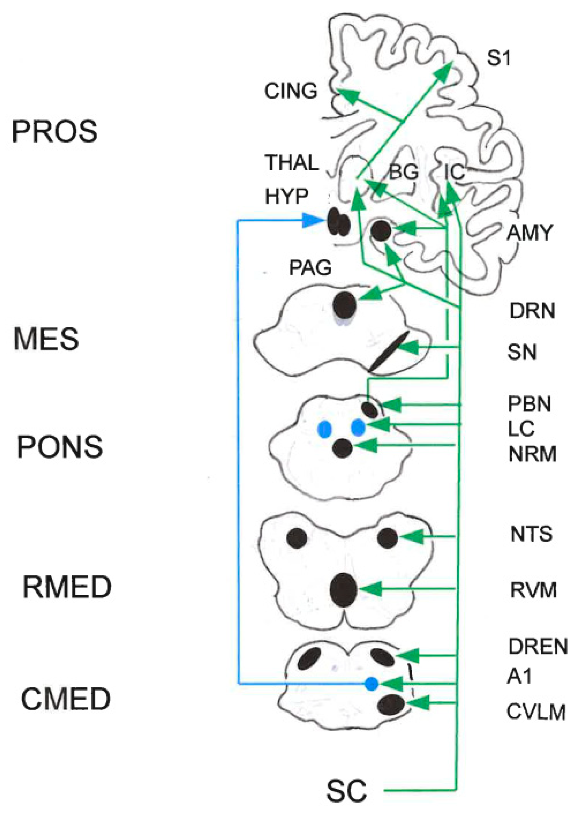 Preprints 171146 g003