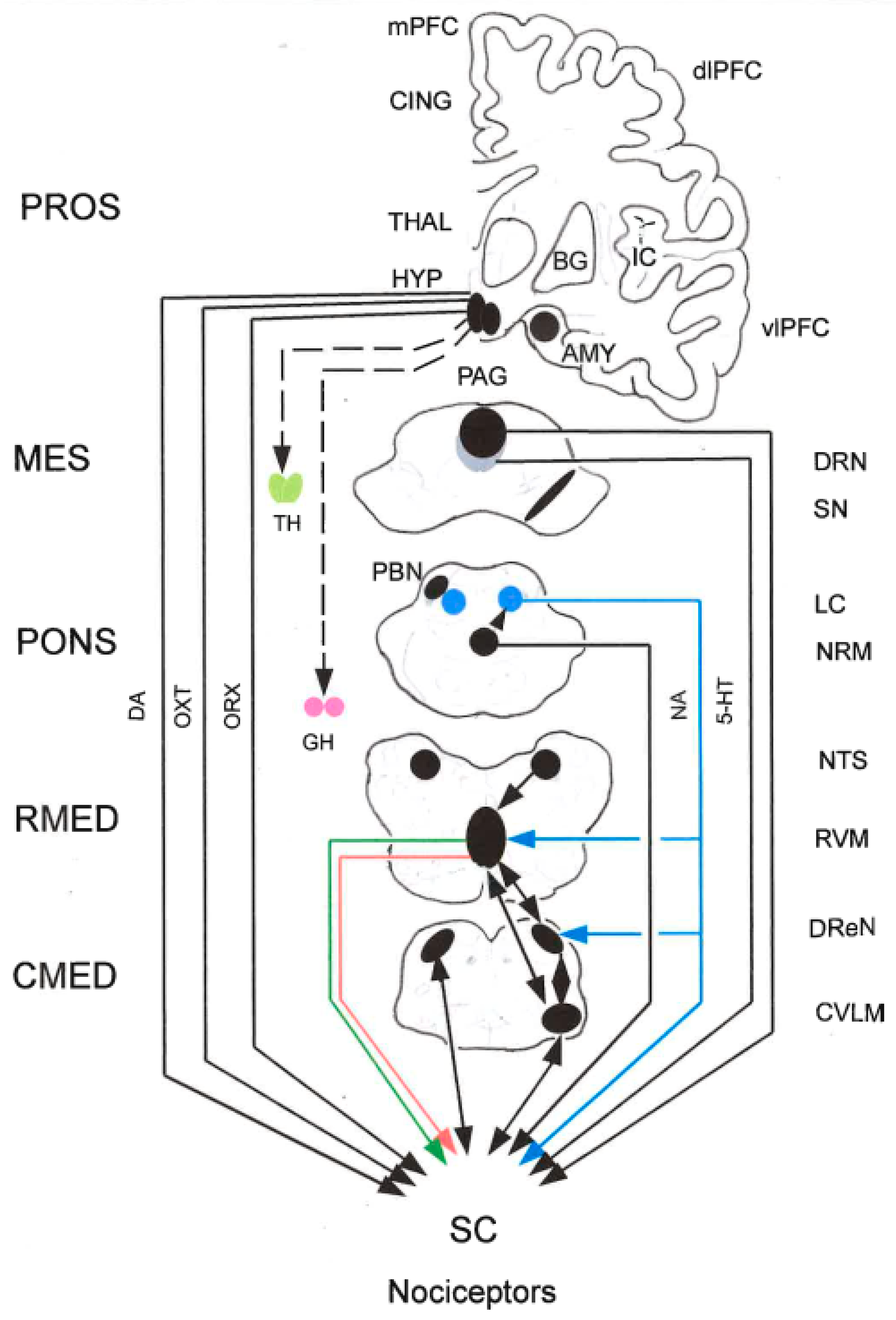 Preprints 171146 g004