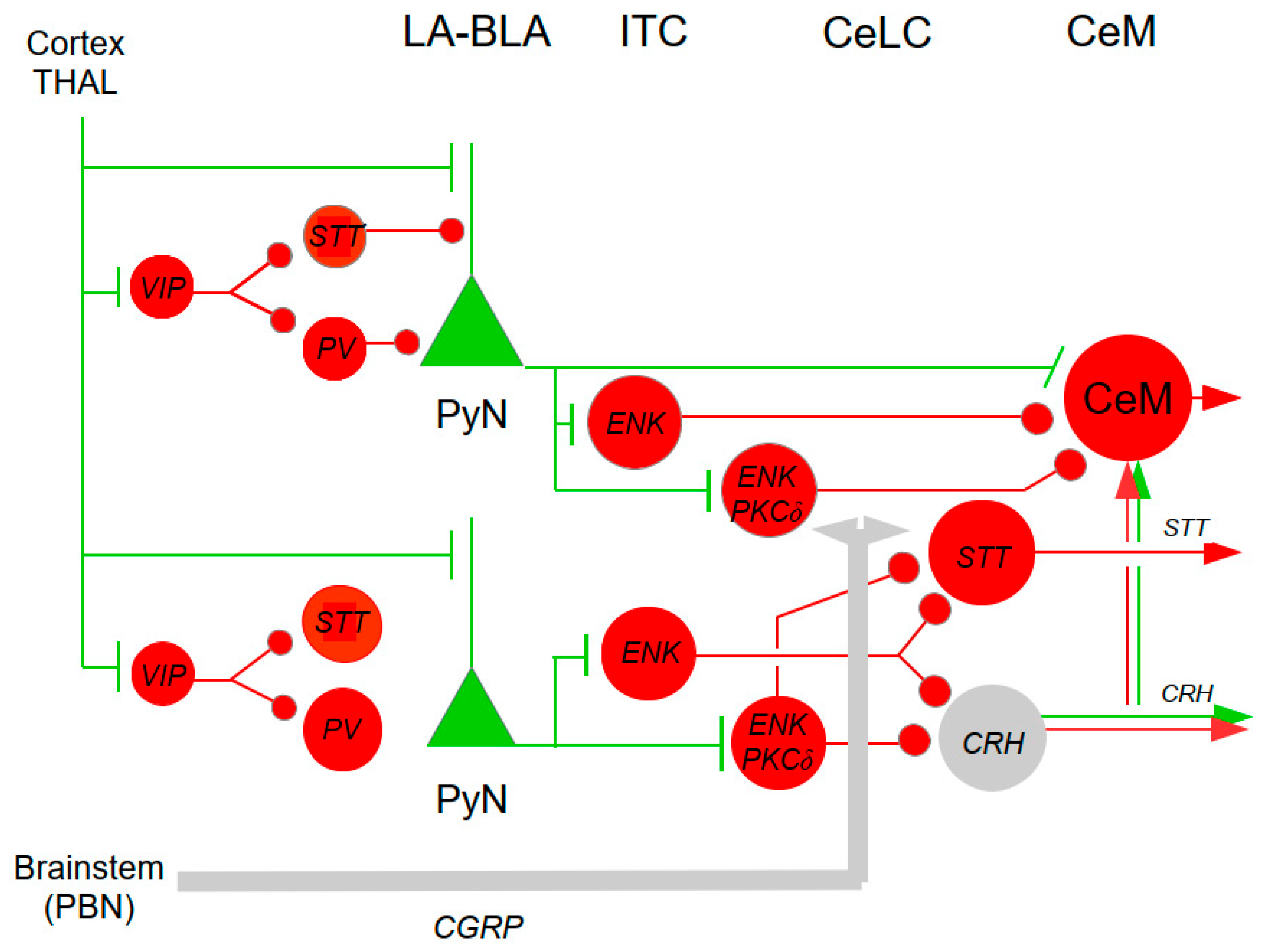 Preprints 171146 g005