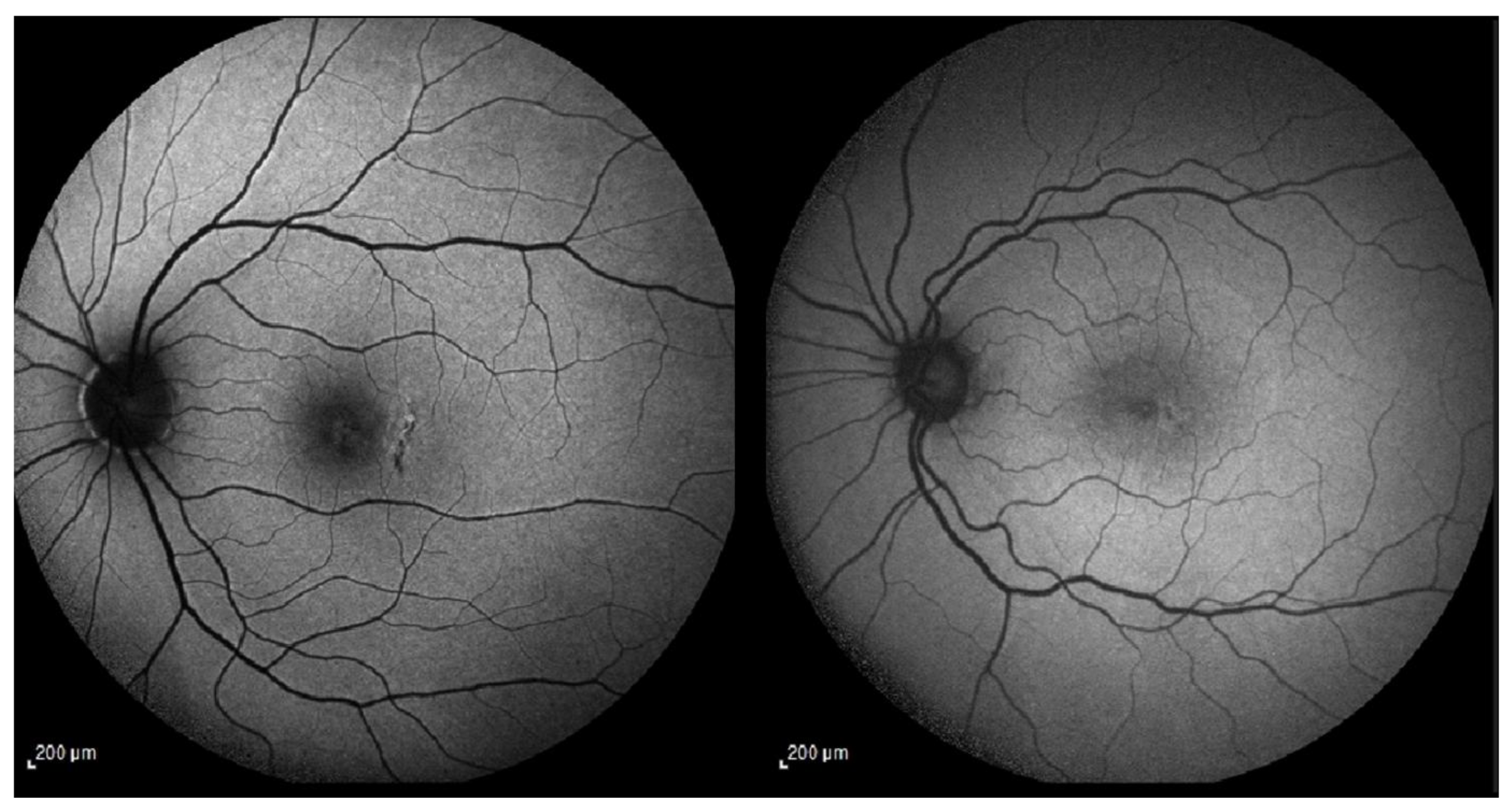 Preprints 185447 g001
