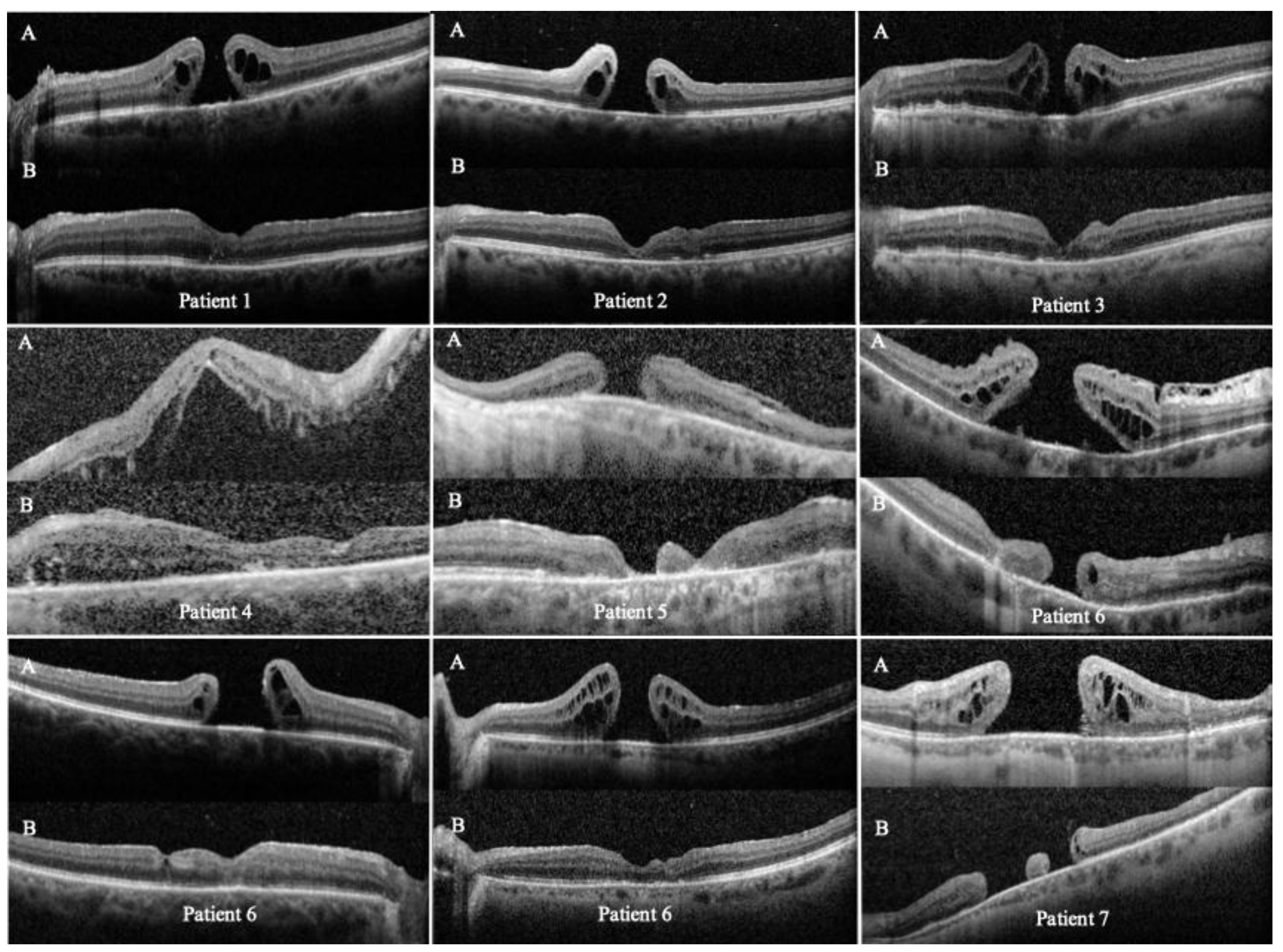 Preprints 185447 g002