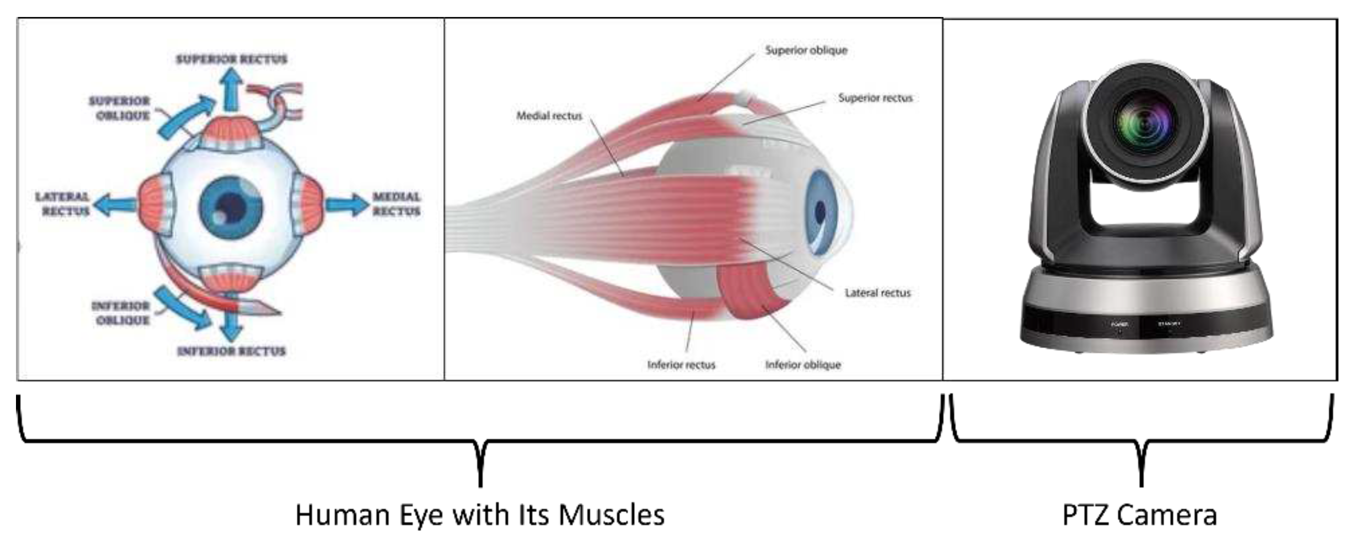 Preprints 87221 g001