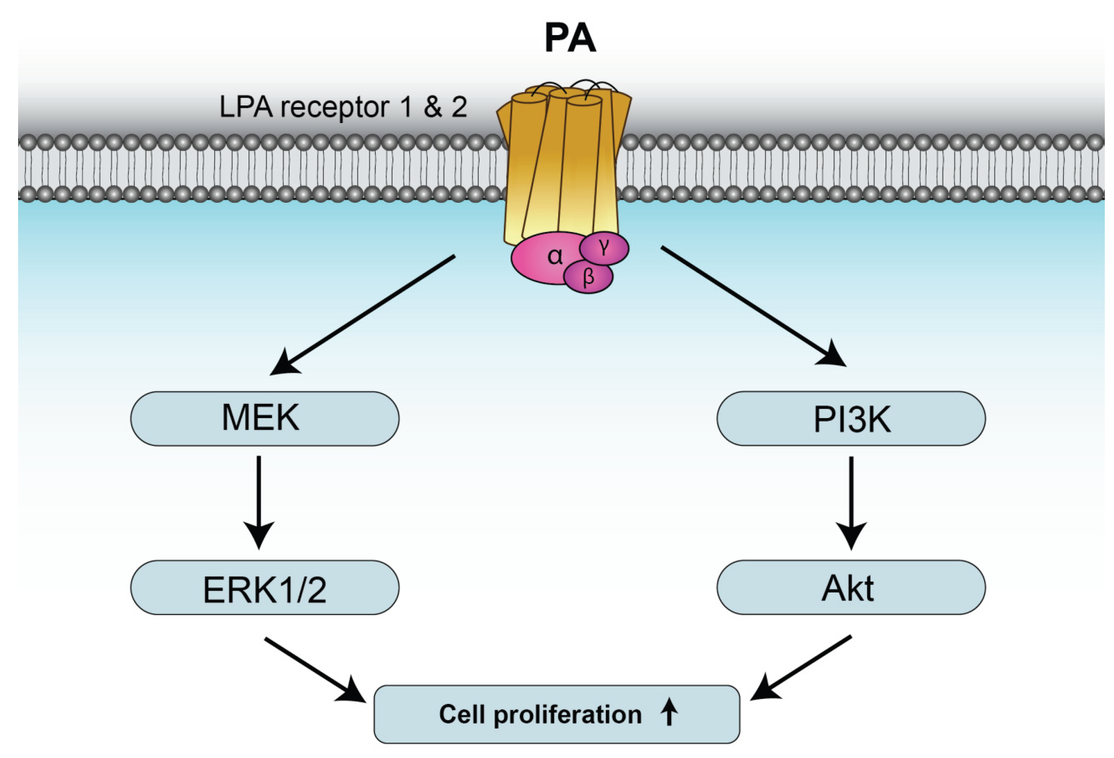 Preprints 195004 g002