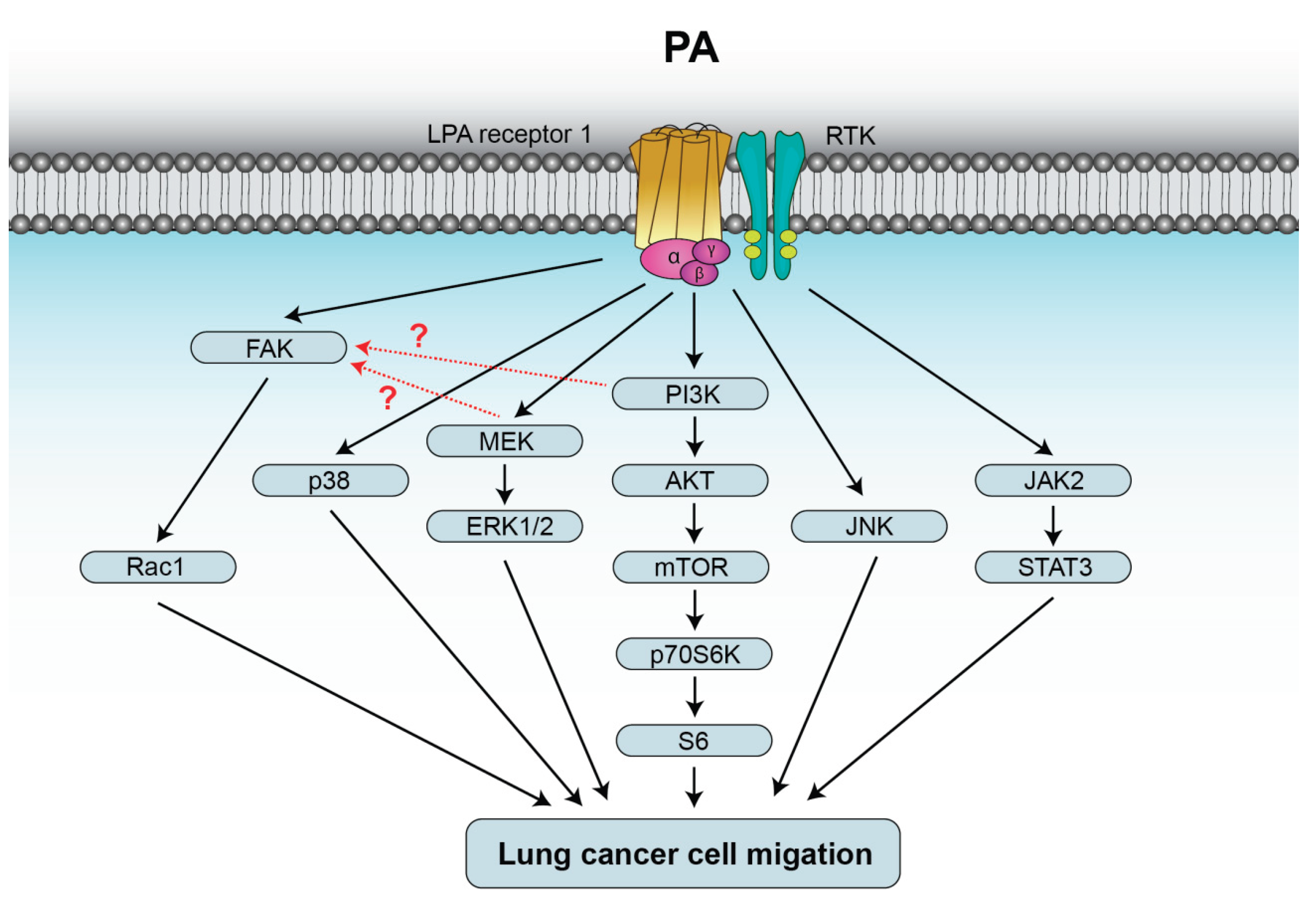 Preprints 195004 g003