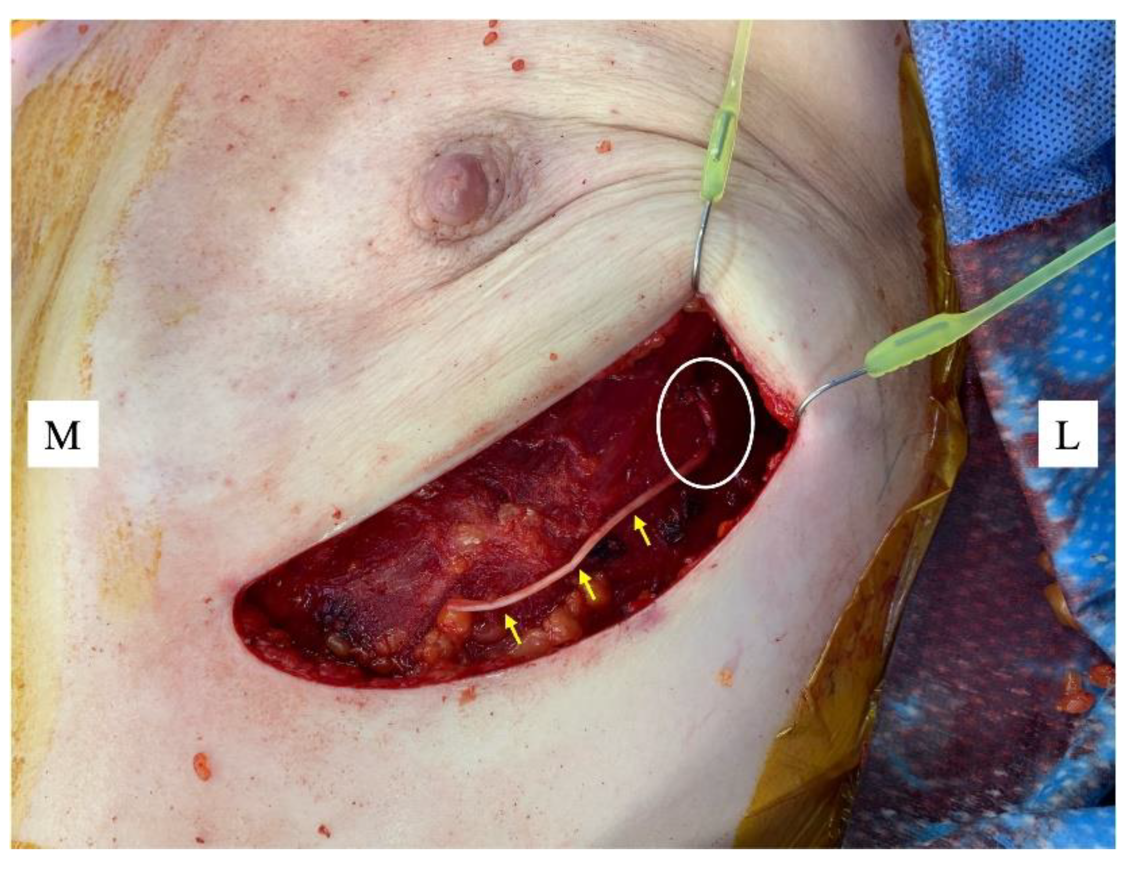 Preprints 188954 g001