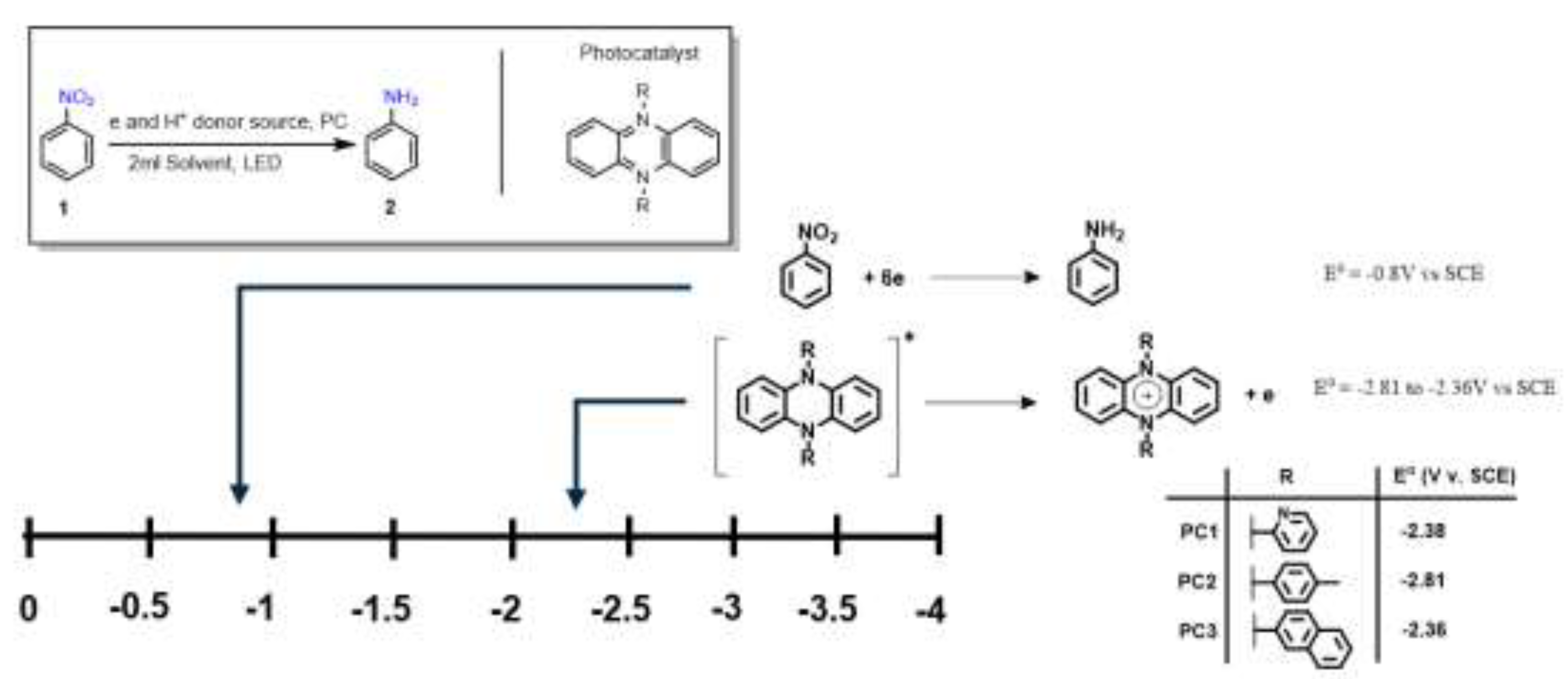 Preprints 198181 g002