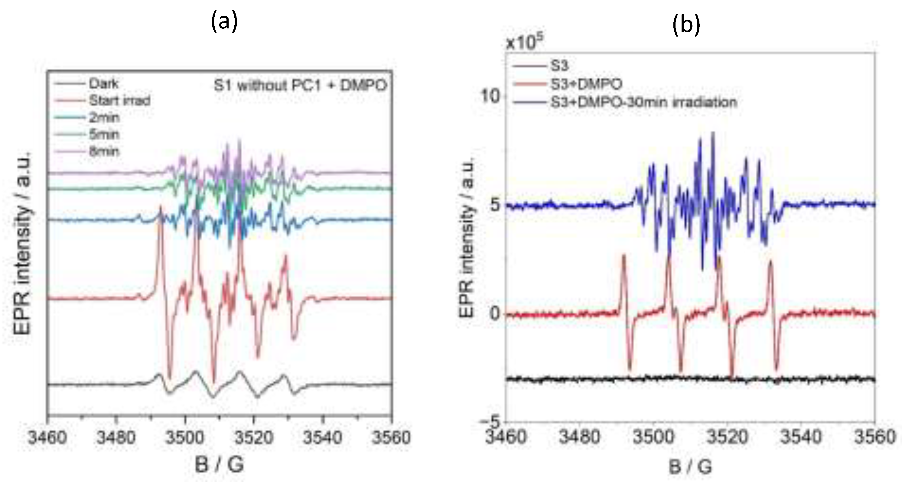 Preprints 198181 g009