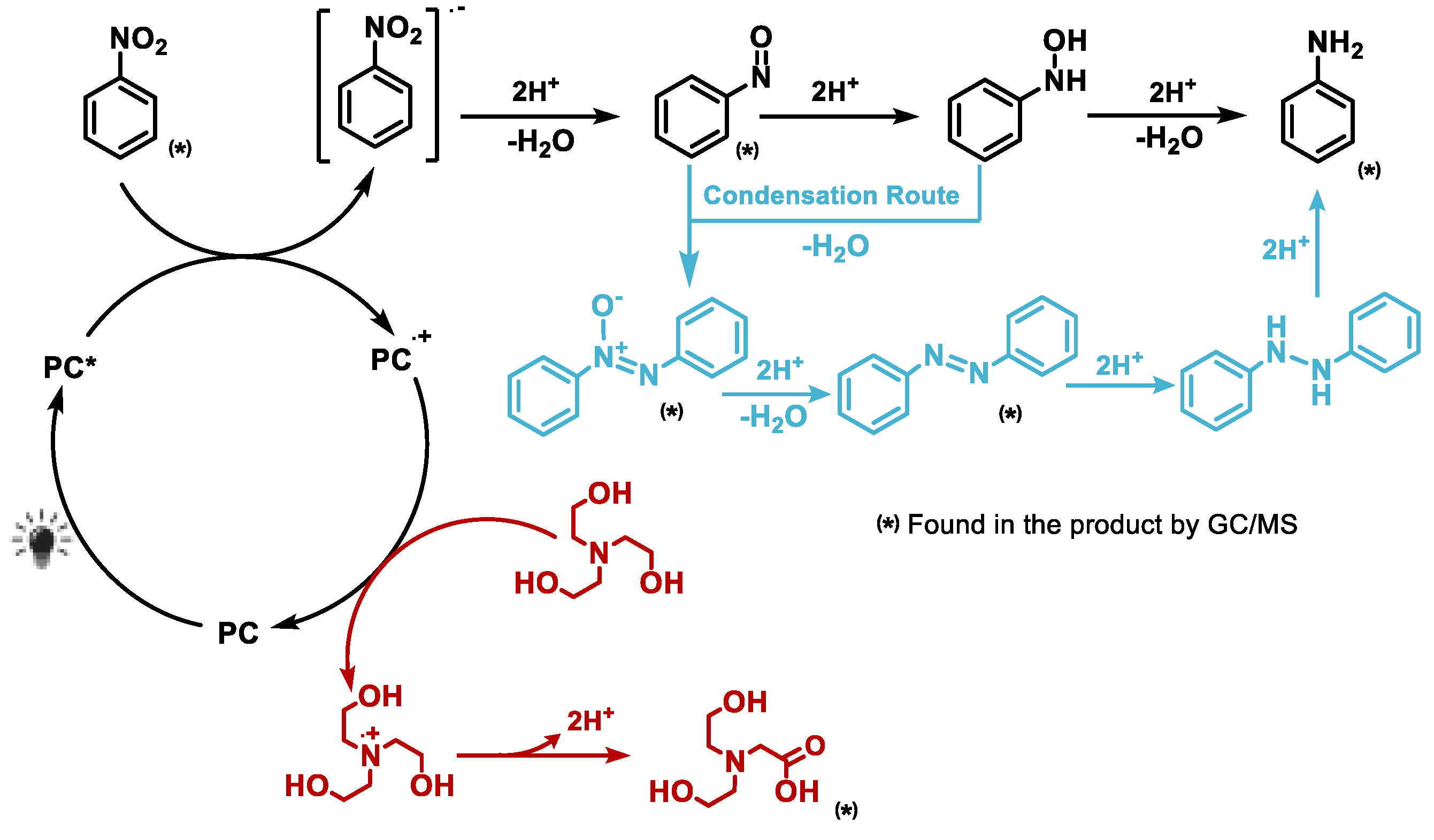Preprints 198181 g010