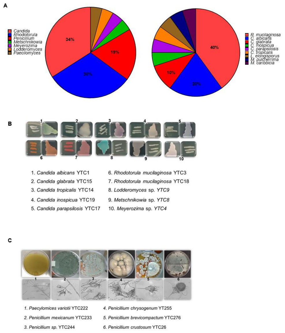 Preprints 221561 g001