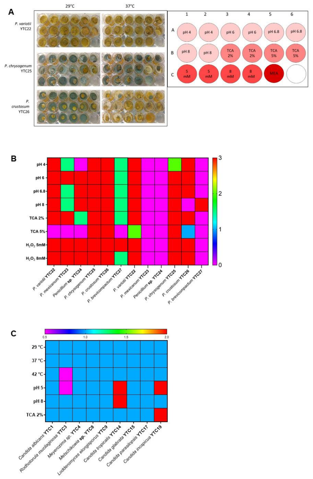 Preprints 221561 g002