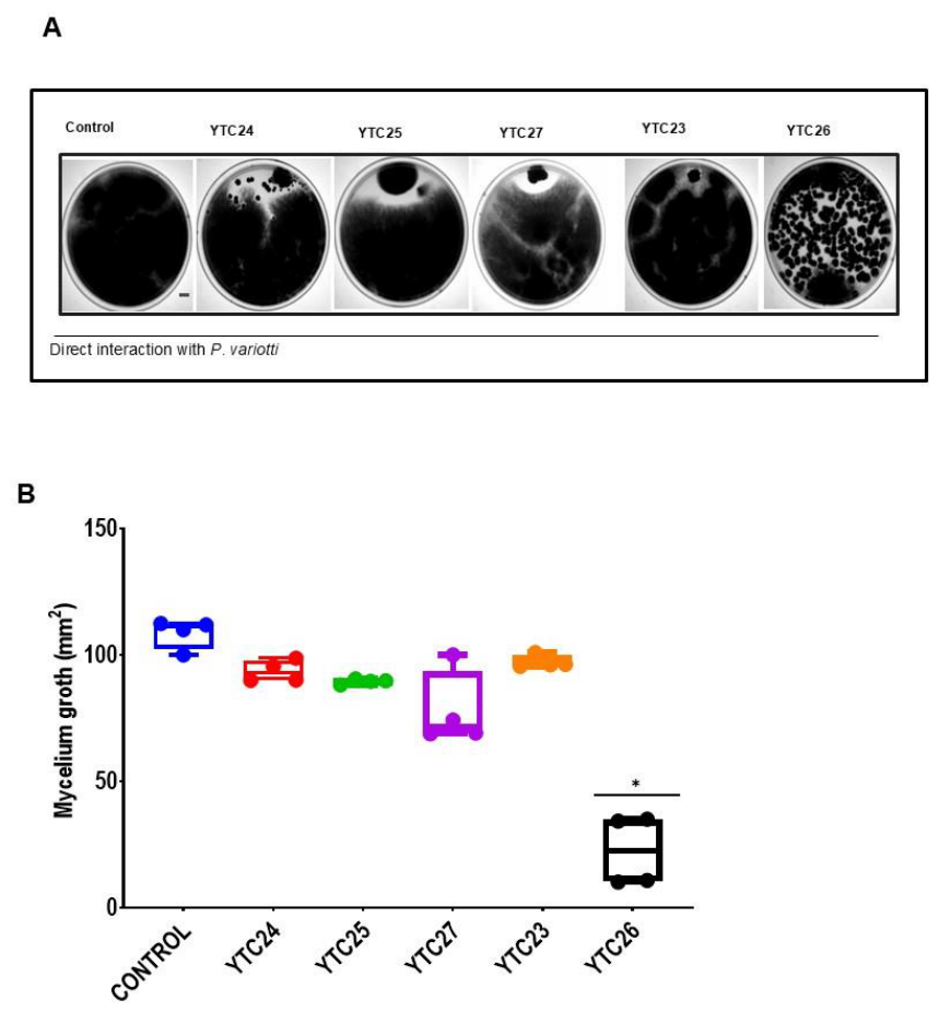 Preprints 221561 g003