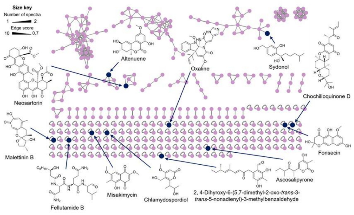 Preprints 221561 g006