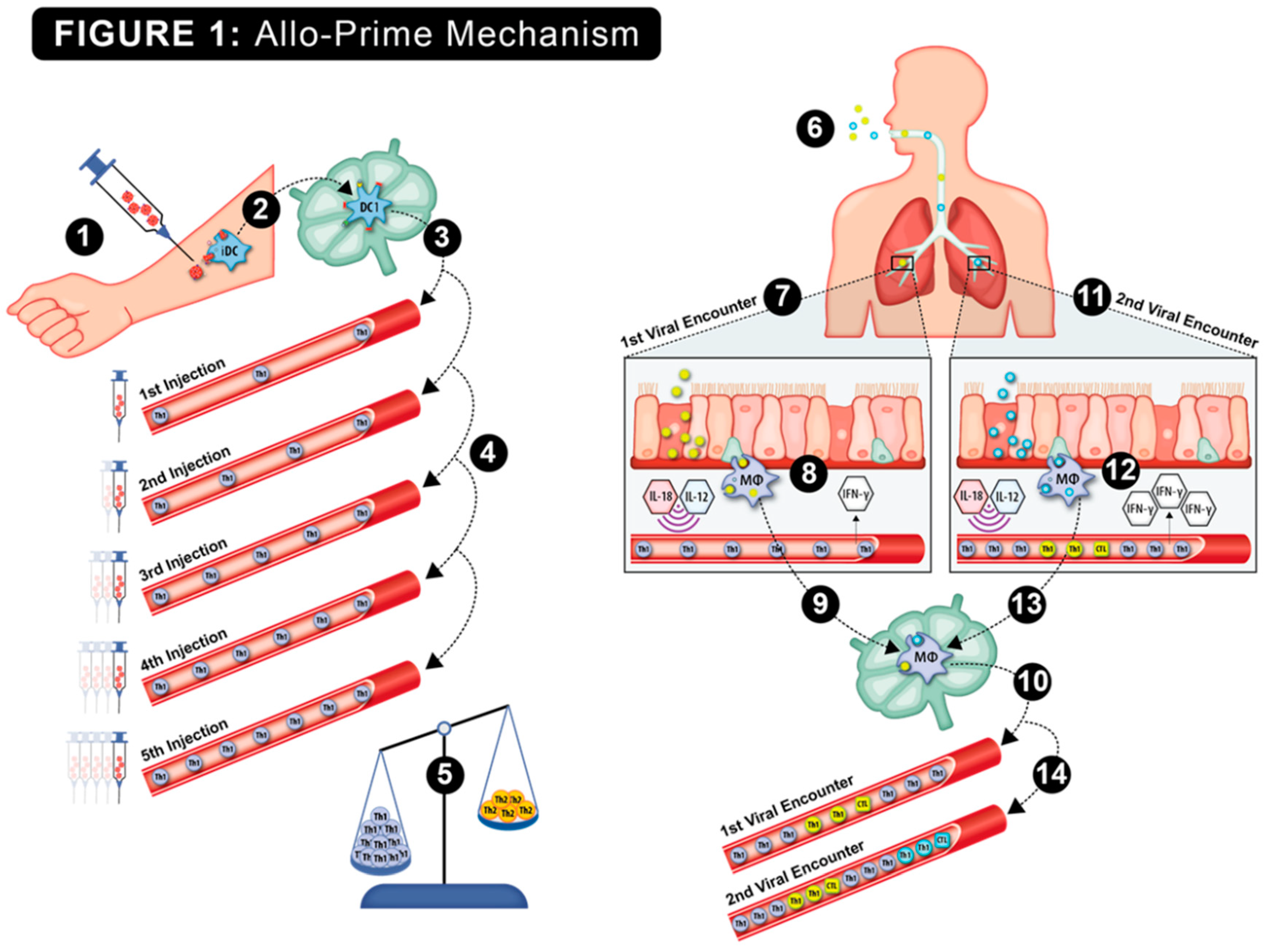 Preprints 153904 g001
