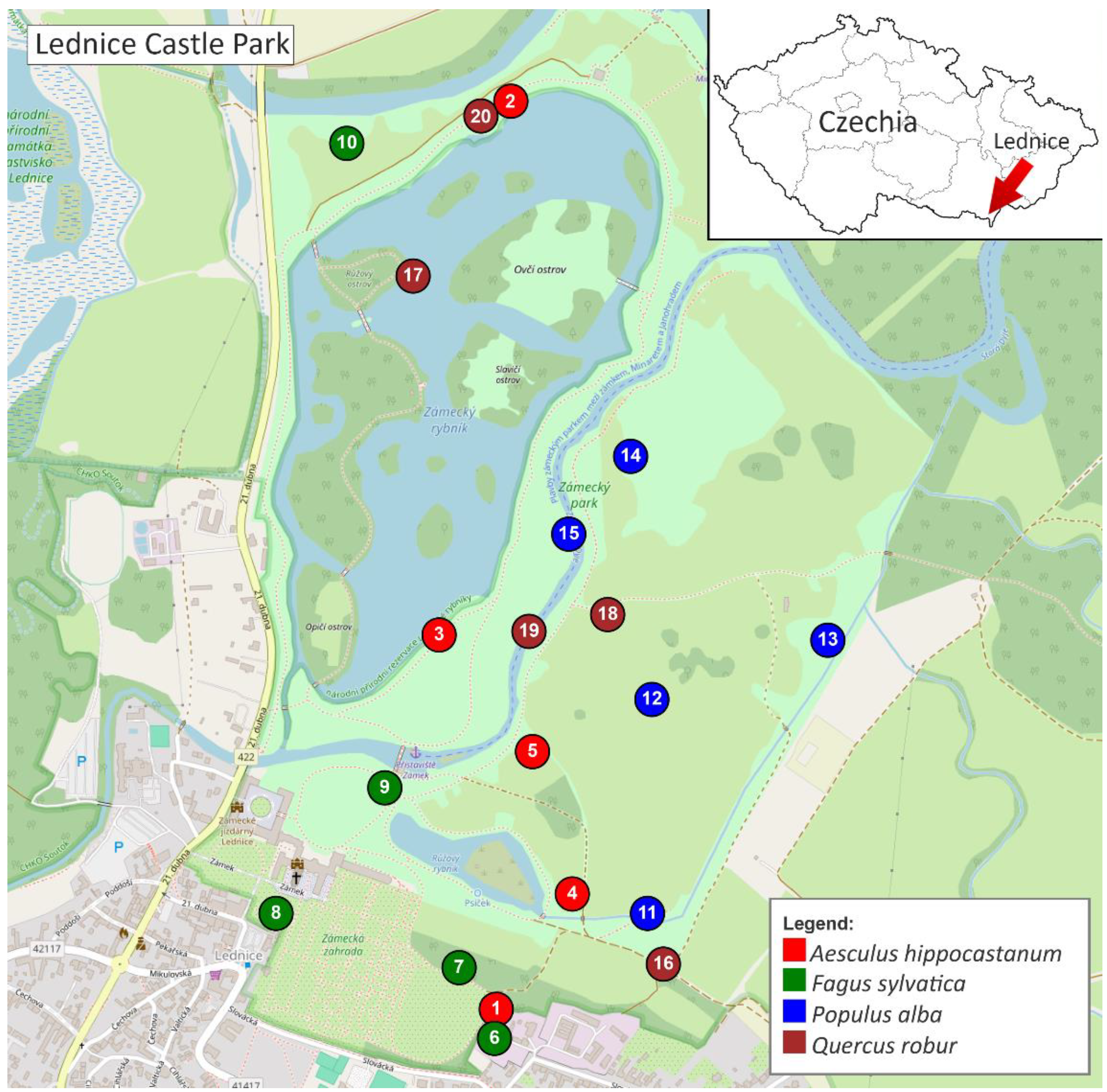 Preprints 182982 g002