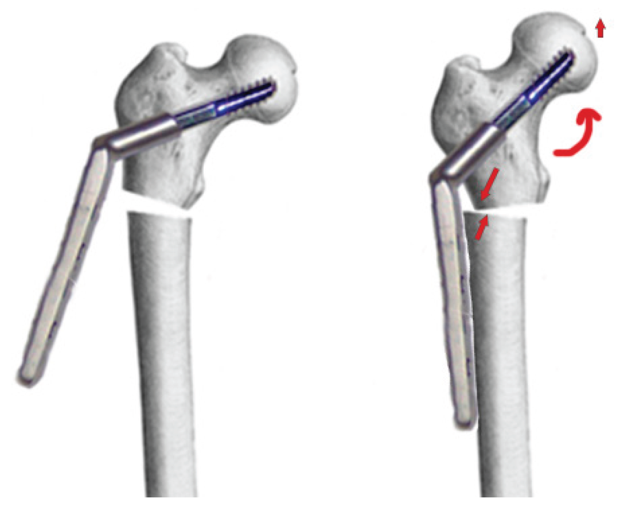 Preprints 173801 g001