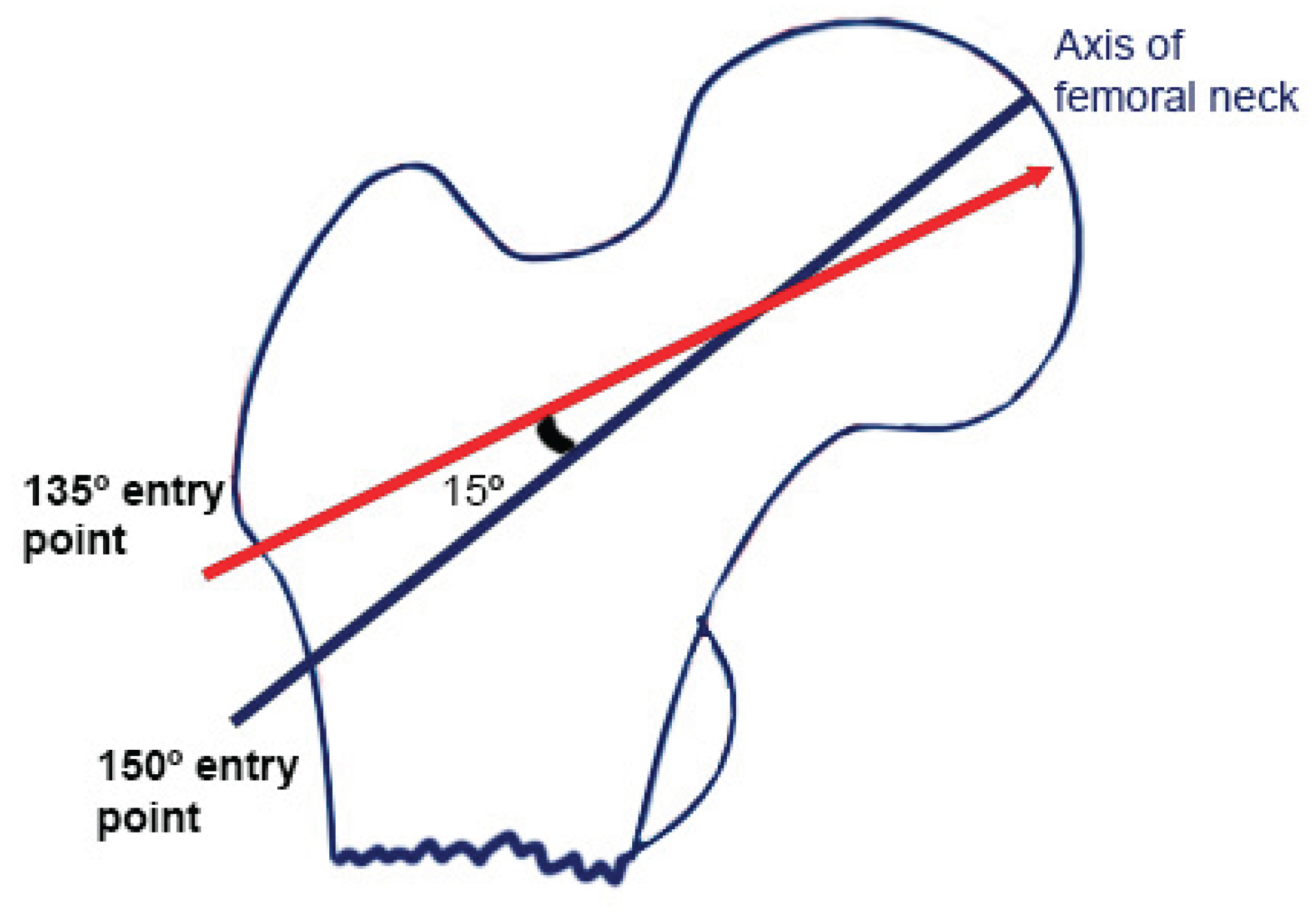 Preprints 173801 g002