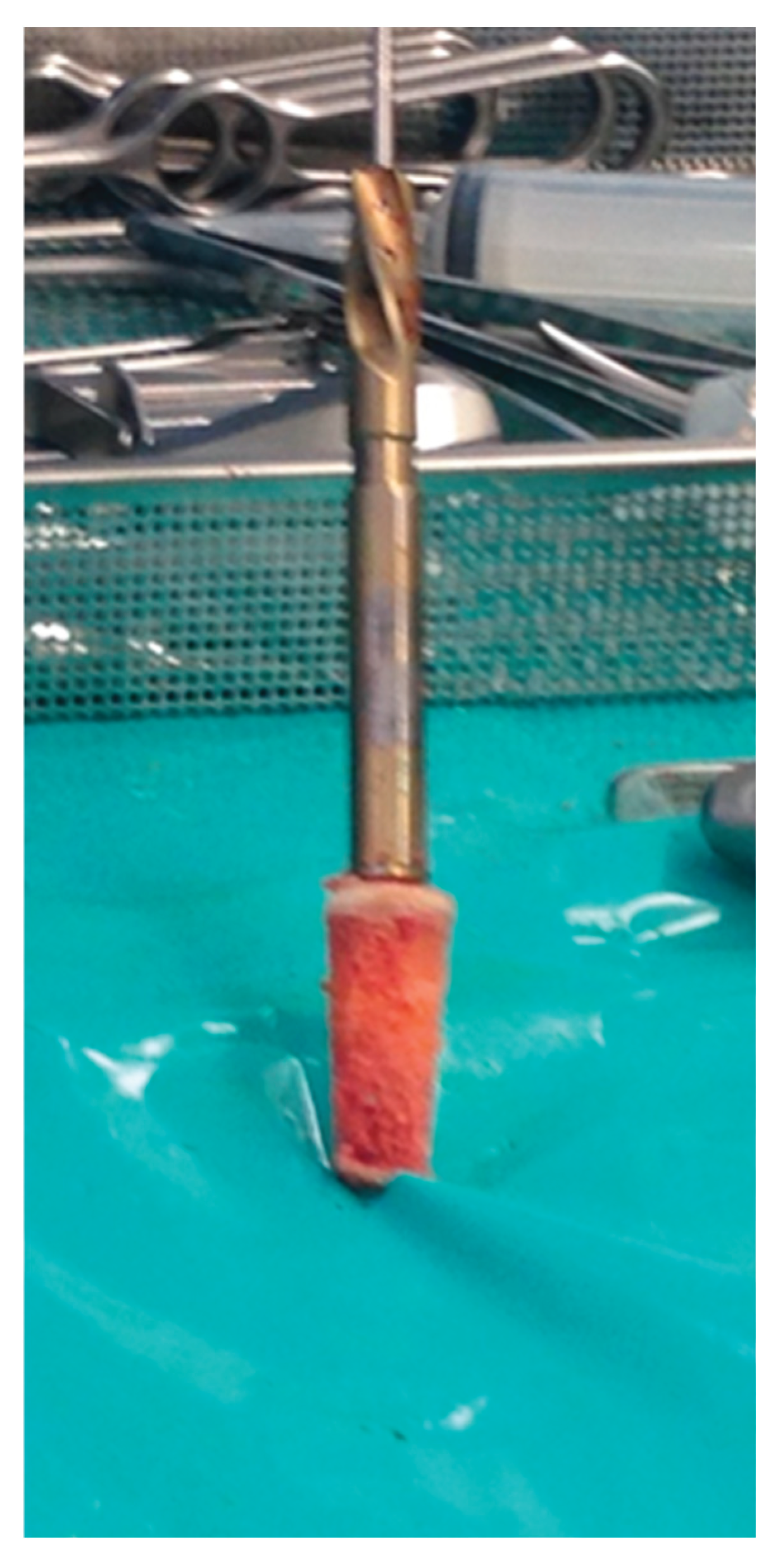 Preprints 173801 g004