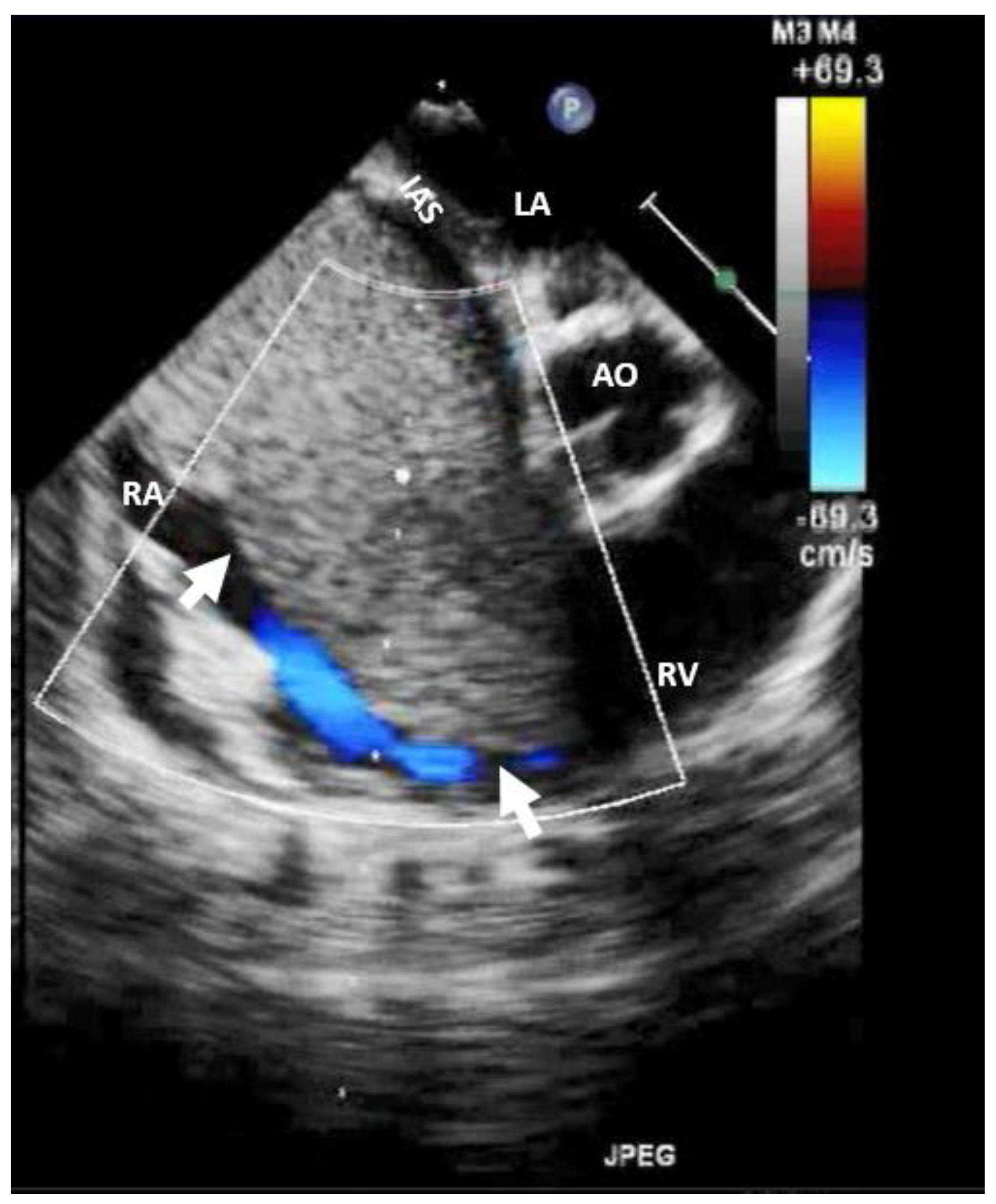 Preprints 95842 g002