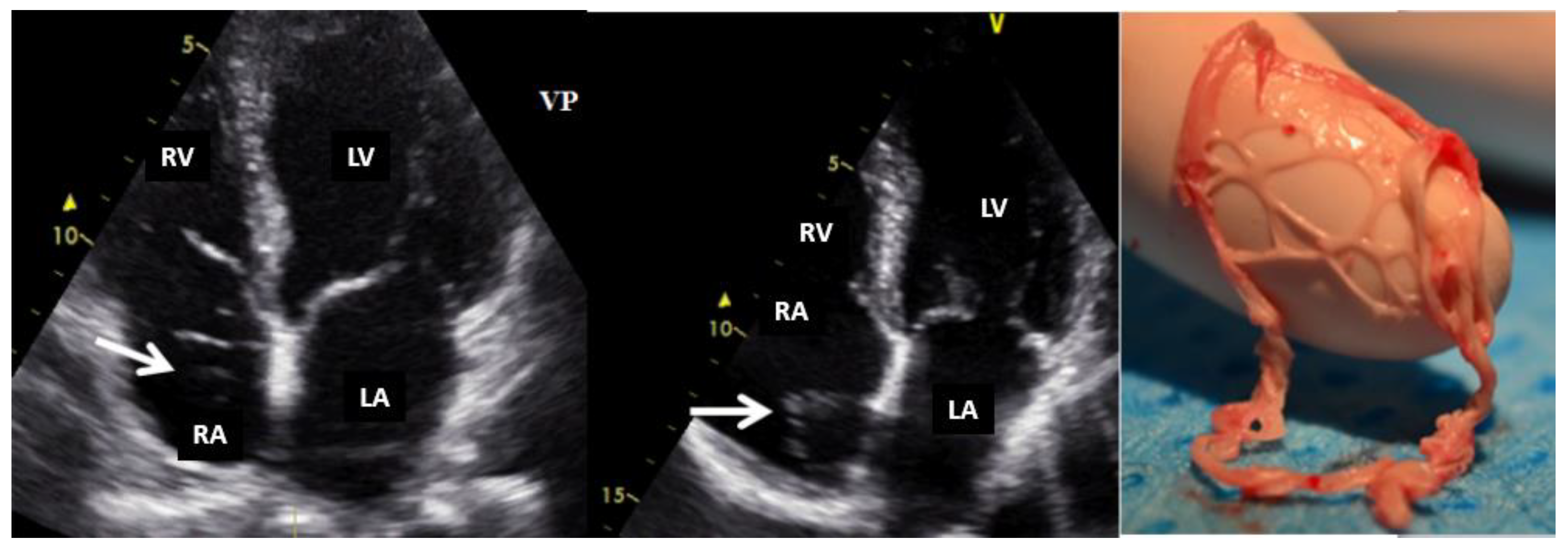 Preprints 95842 g003