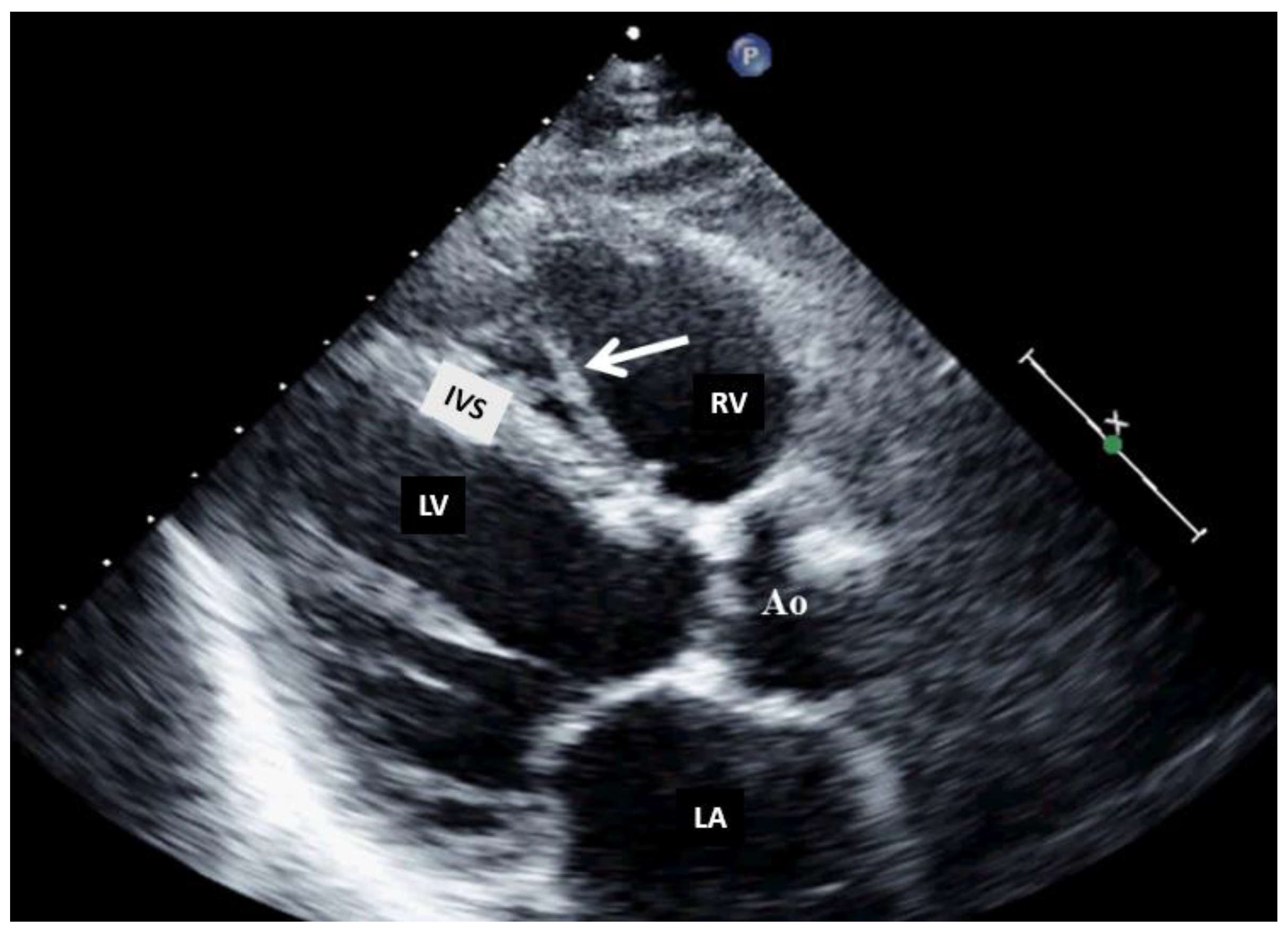 Preprints 95842 g004