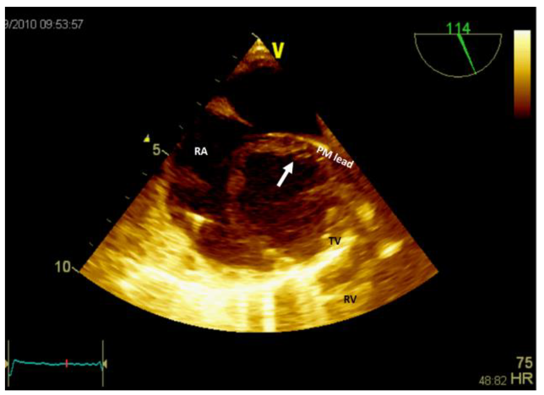 Preprints 95842 g006