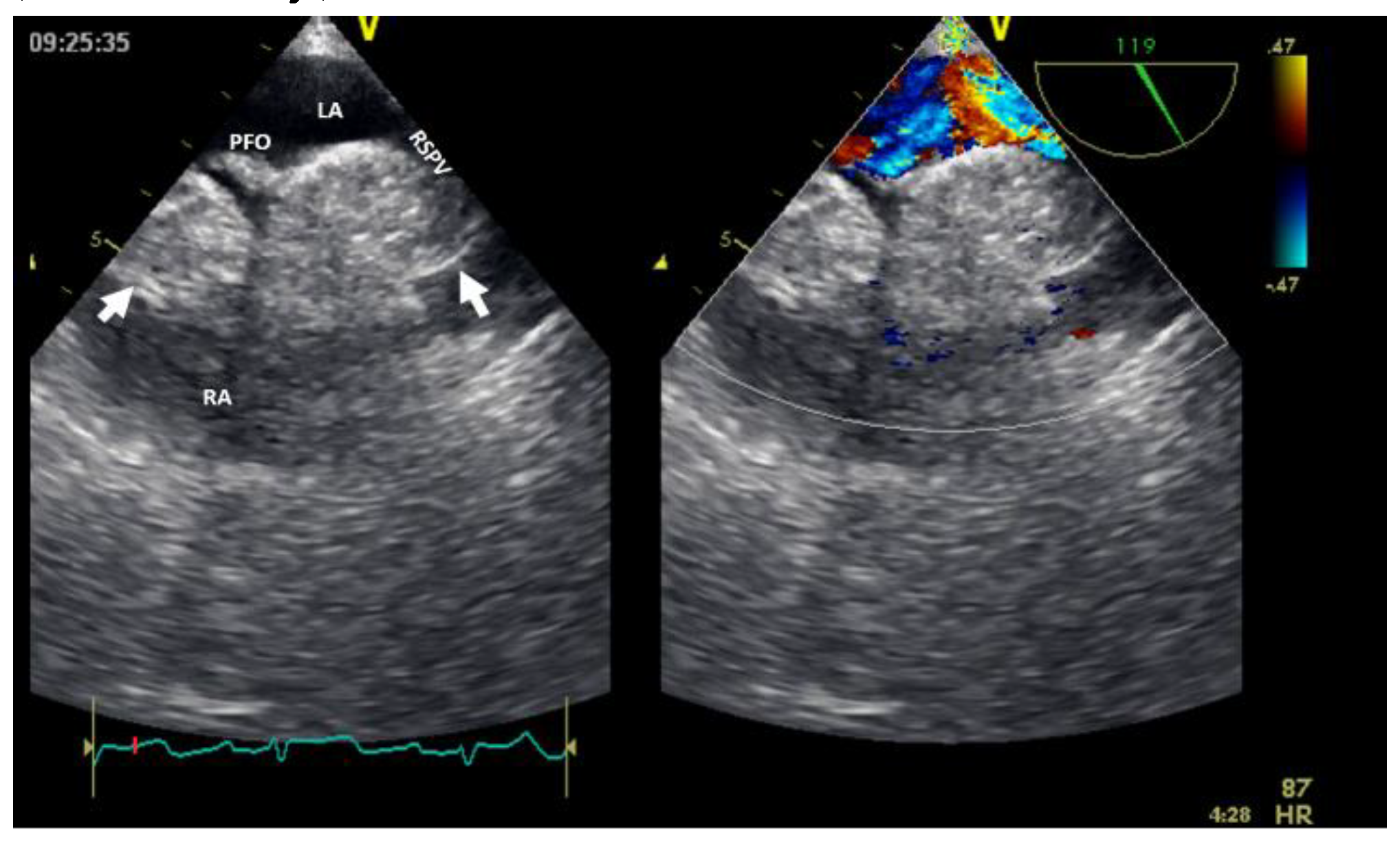 Preprints 95842 g007