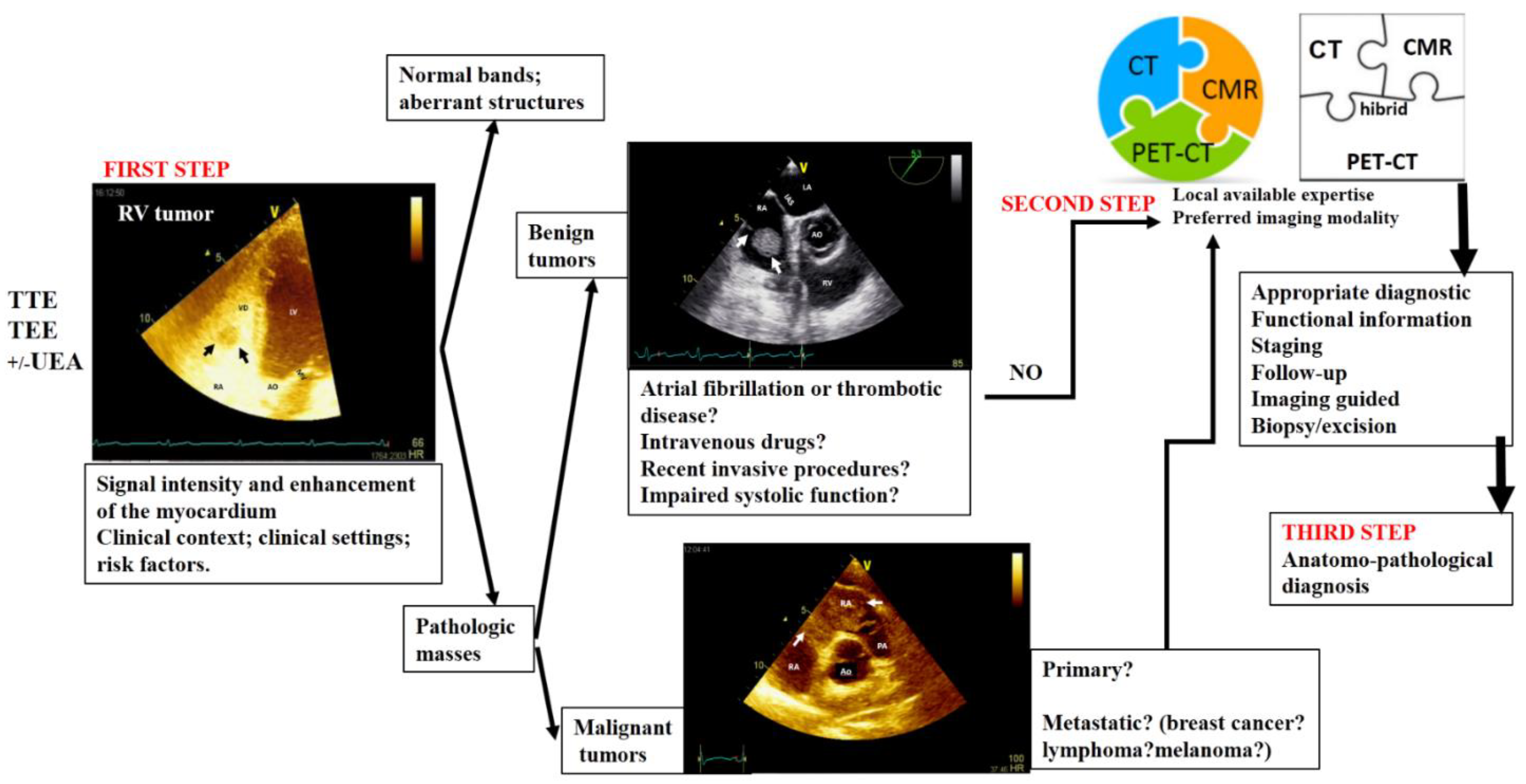 Preprints 95842 g008
