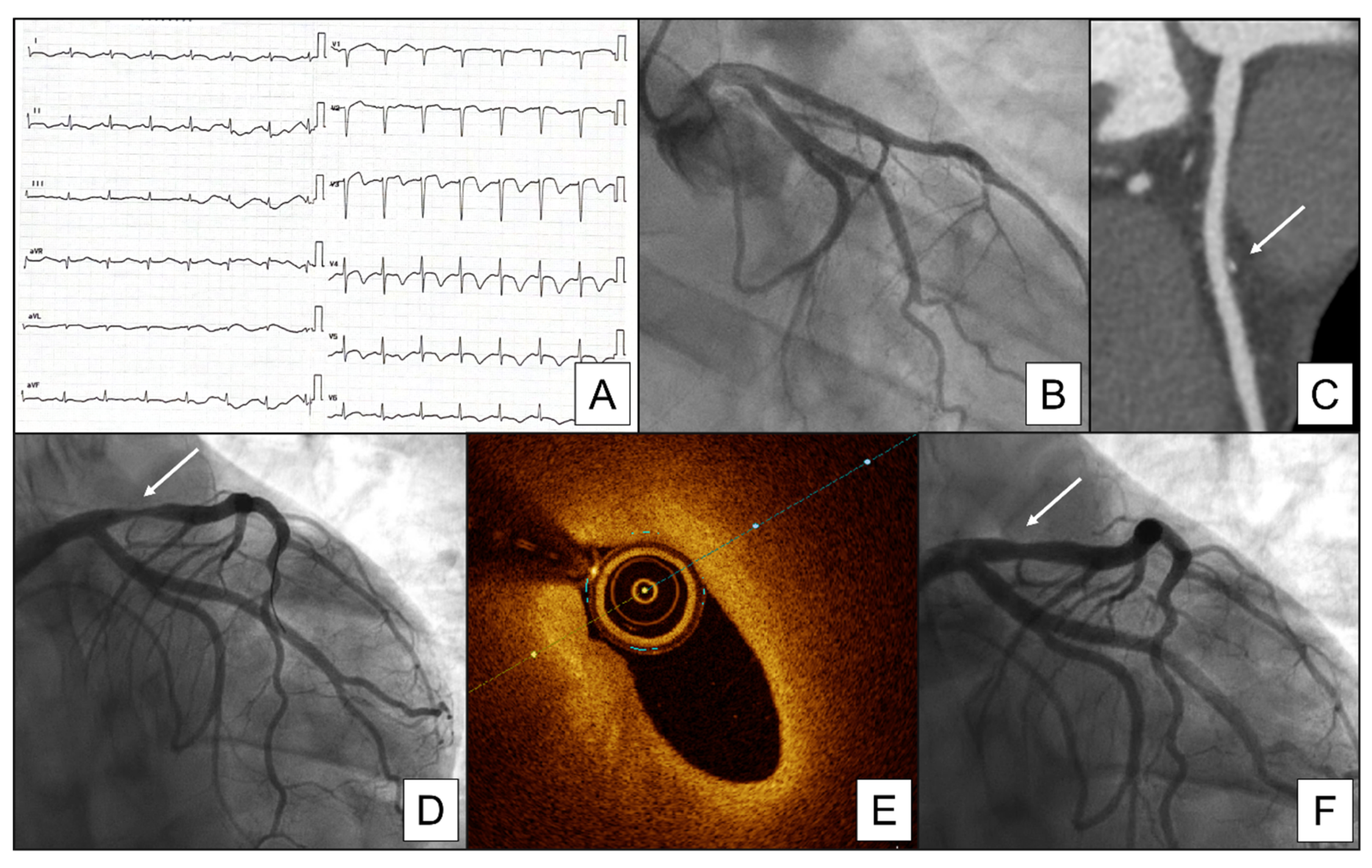 Preprints 76054 g003