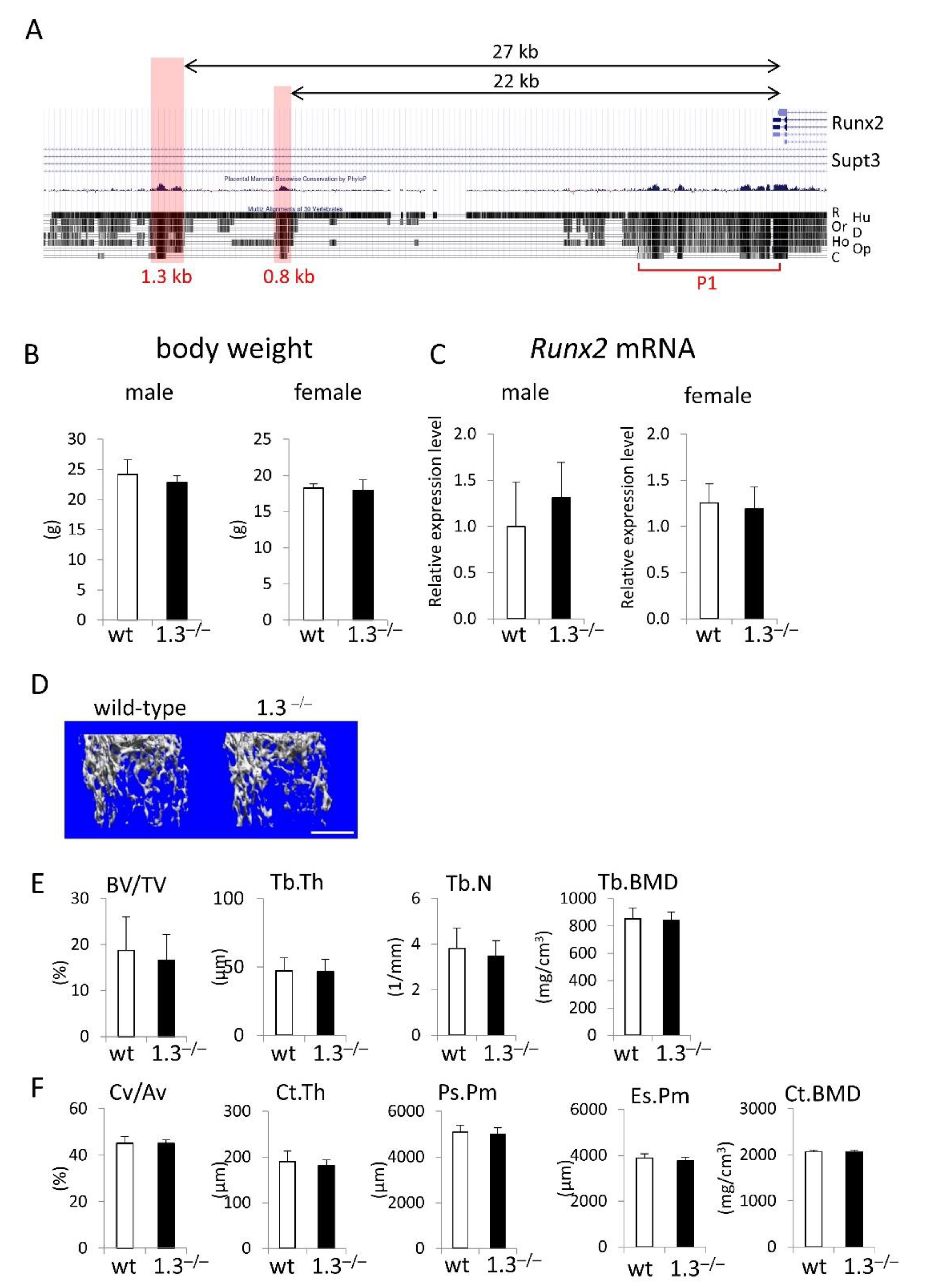 Preprints 144898 g001
