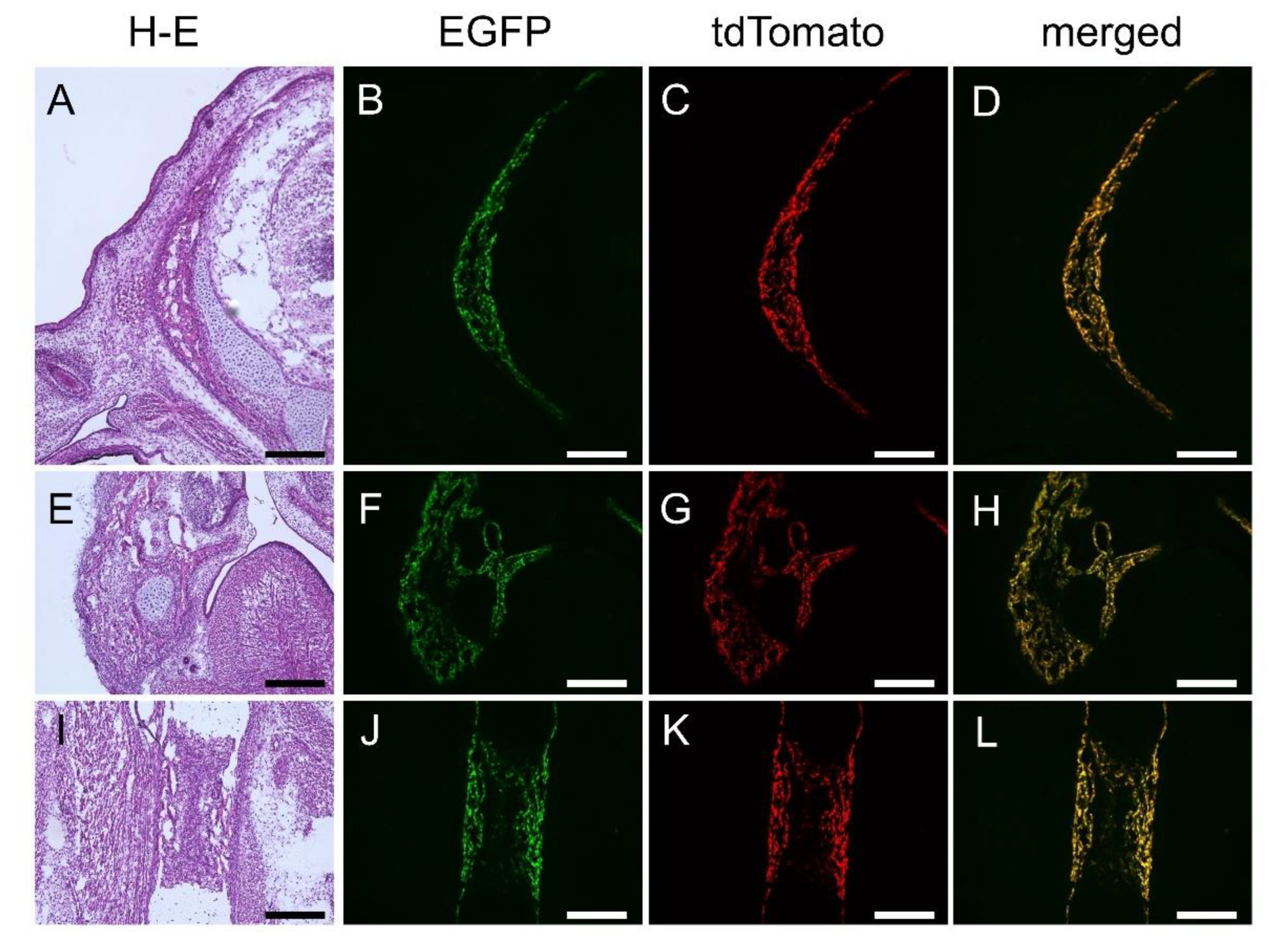 Preprints 144898 g003
