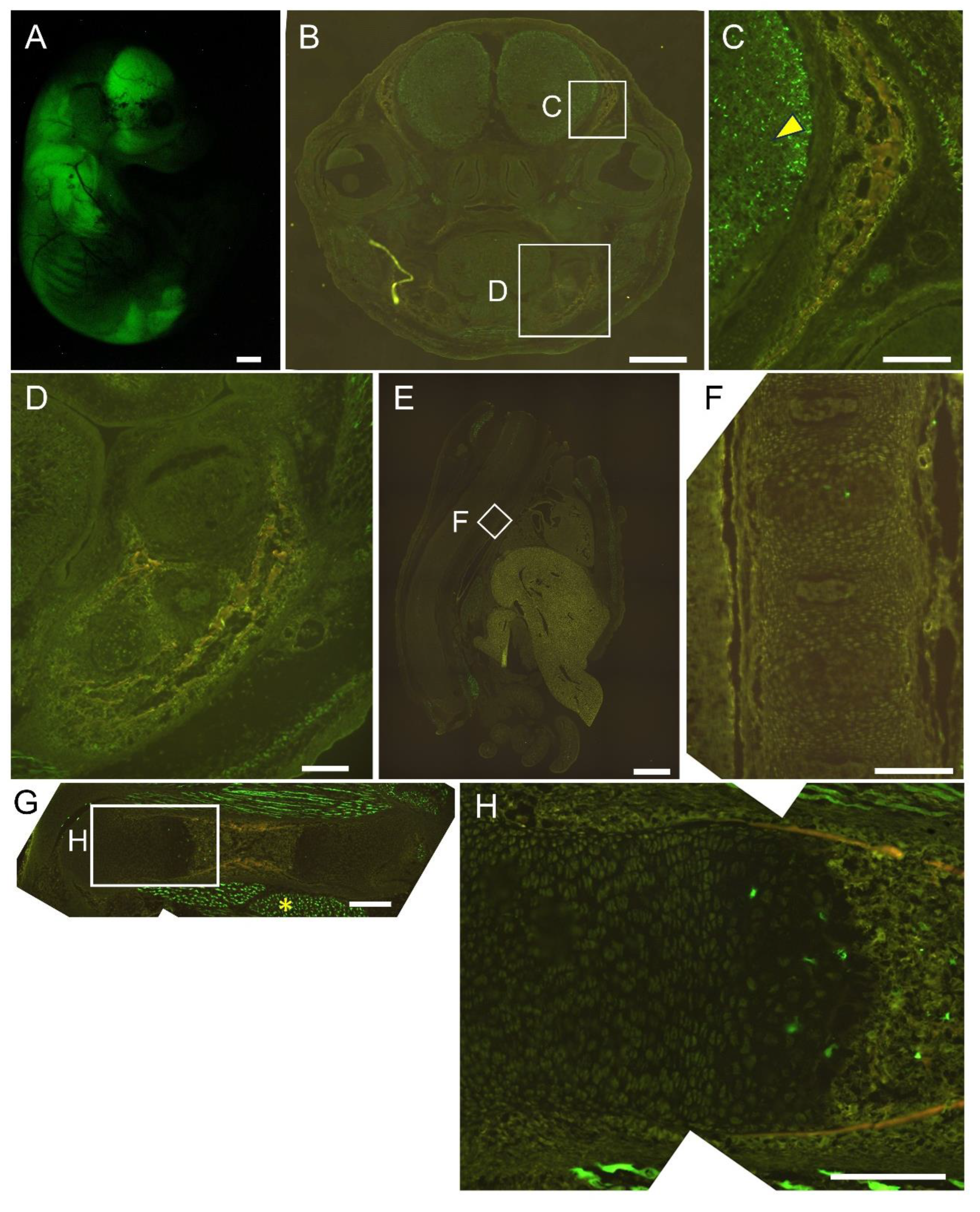 Preprints 144898 g004