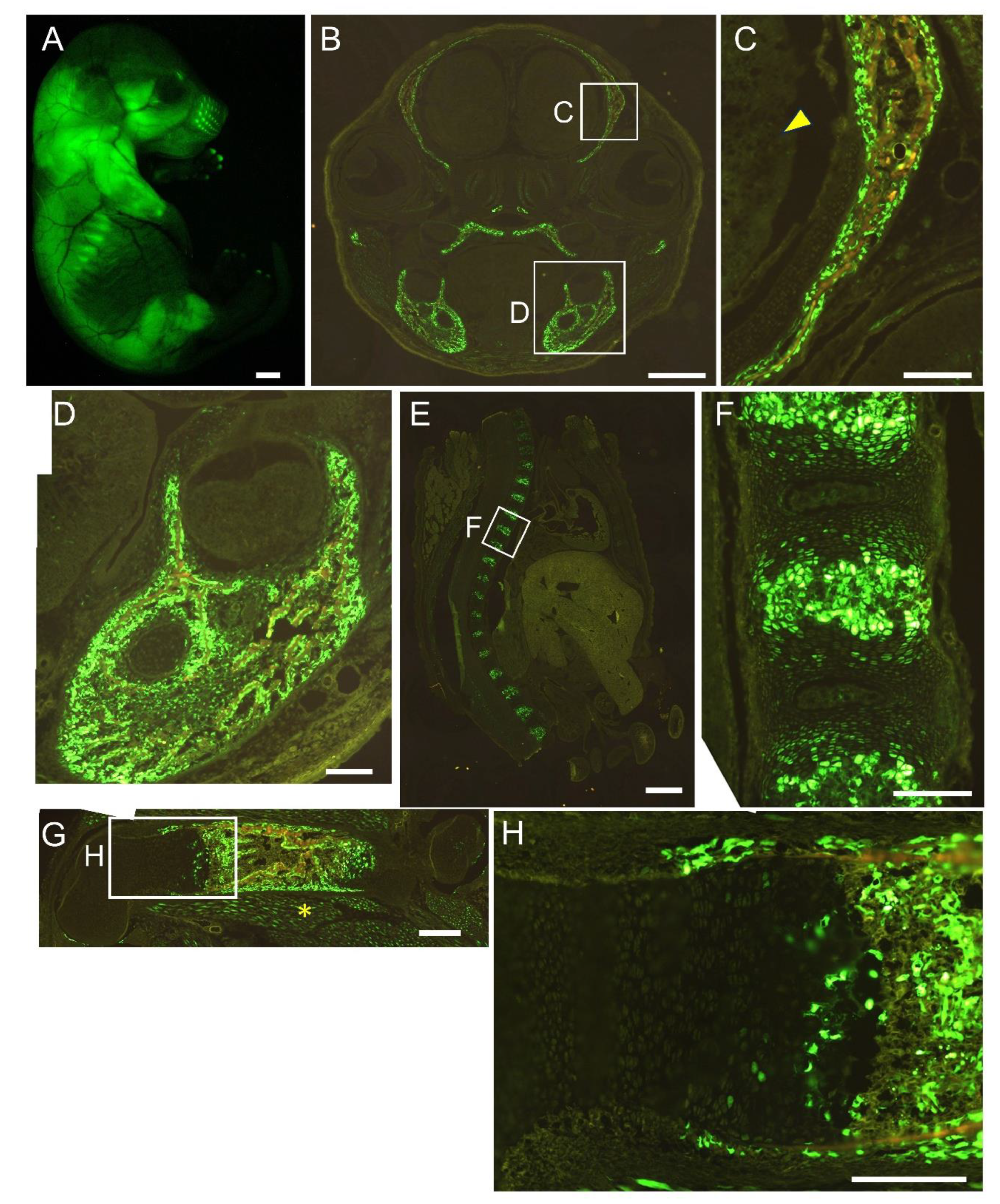 Preprints 144898 g005